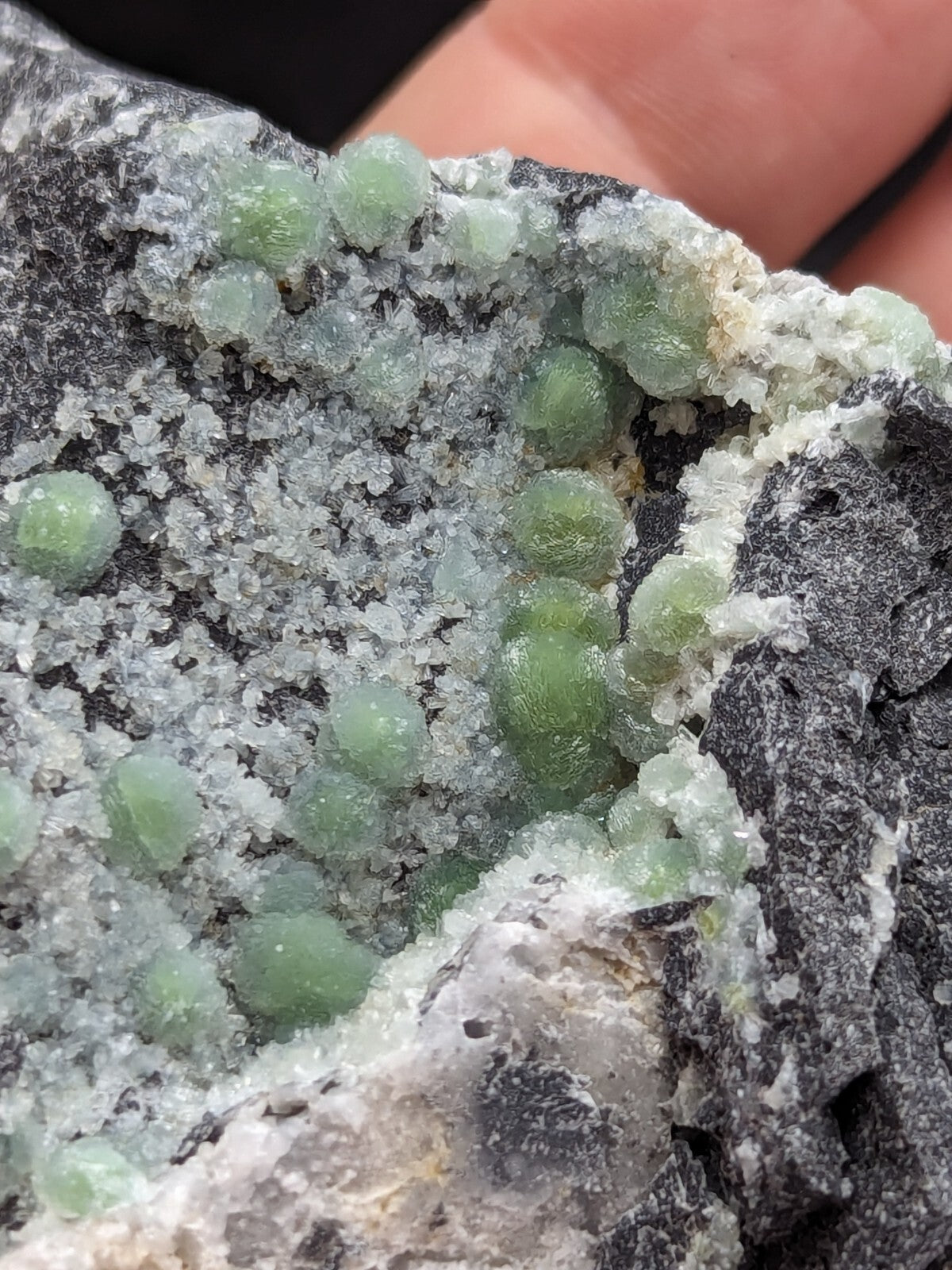A cluster of translucent green, spherical mineral formations nestled within a dark gray rock matrix.