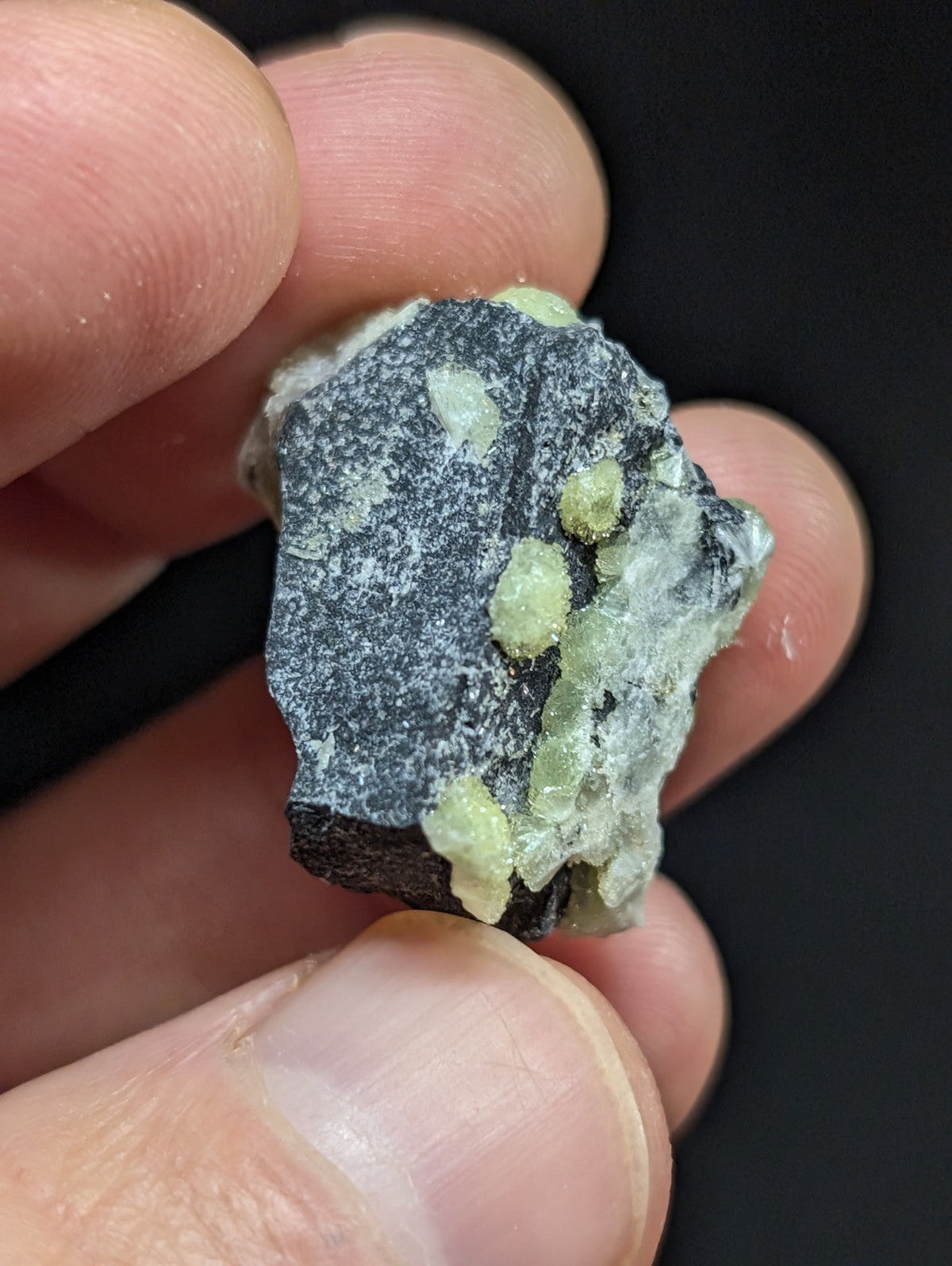 A dark gray rock specimen featuring clusters of pale green, translucent mineral crystals.