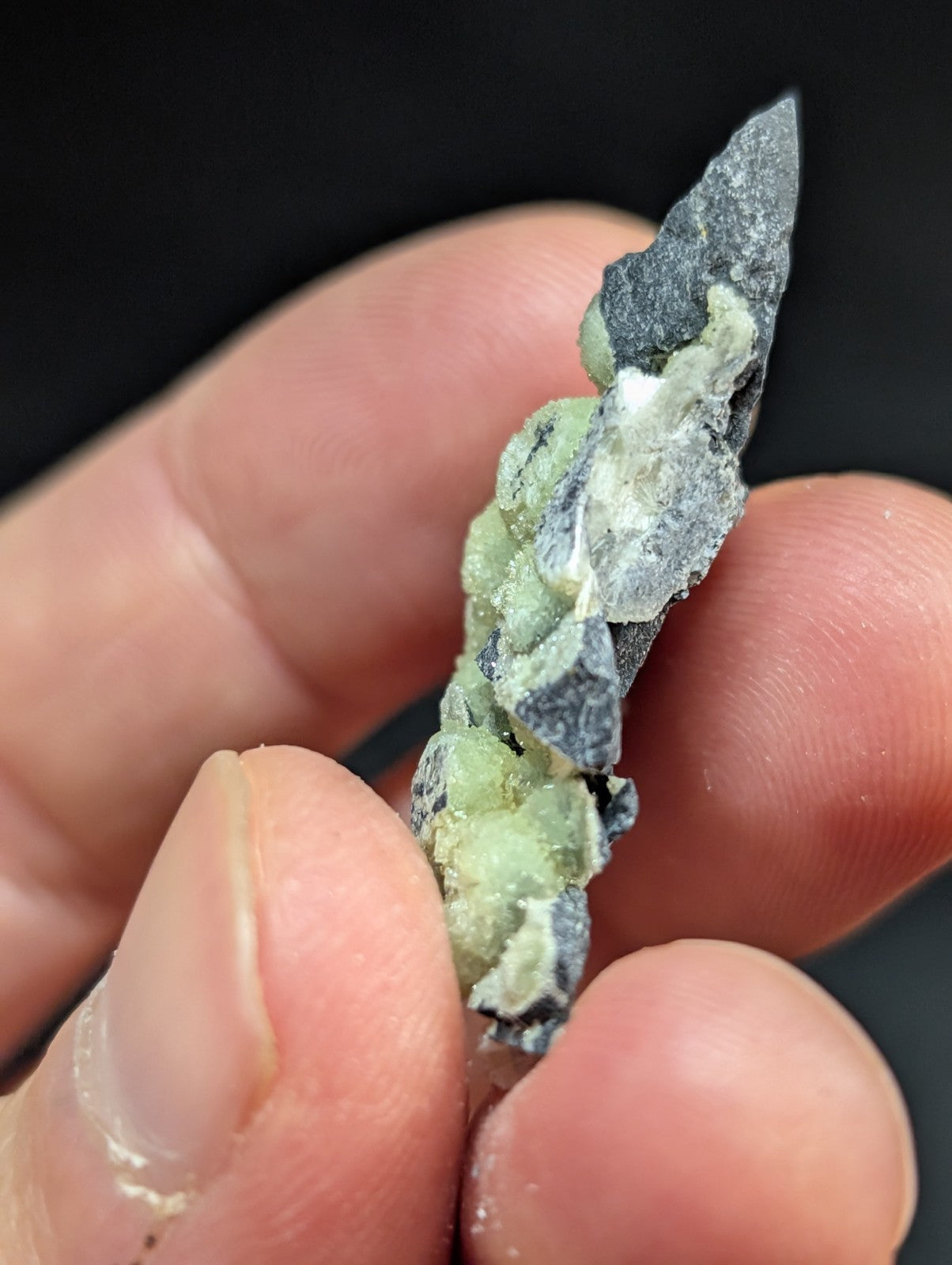 A hand holds a mineral specimen featuring dark gray, jagged crystals with patches of pale green and white crystalline growths.