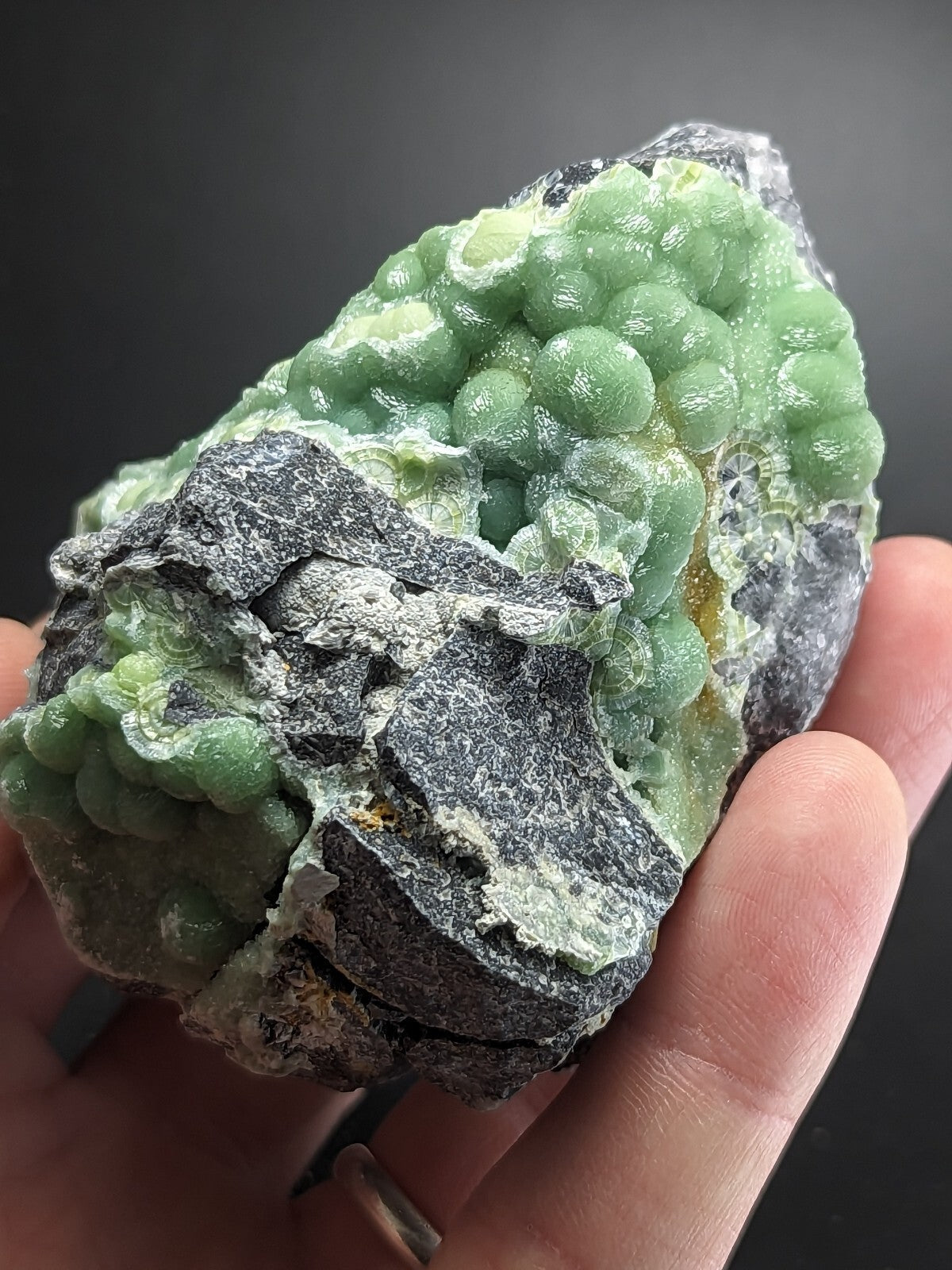 A hand holds a striking green chrysocolla specimen with rounded, bead-like formations clustered atop a dark gray matrix.