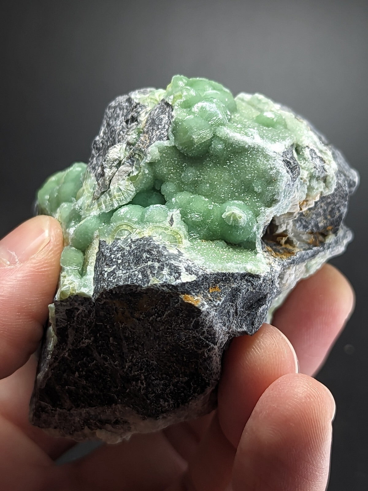 A hand holds a natural green chrysoprase specimen with translucent, bumpy formations nestled against dark gray and black matrix rock.