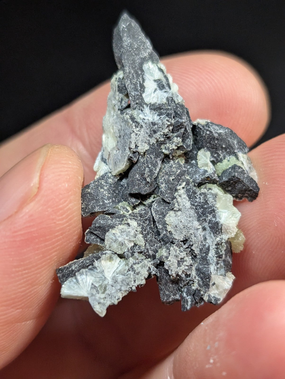 A dark gray, jagged mineral specimen with translucent white crystalline formations.