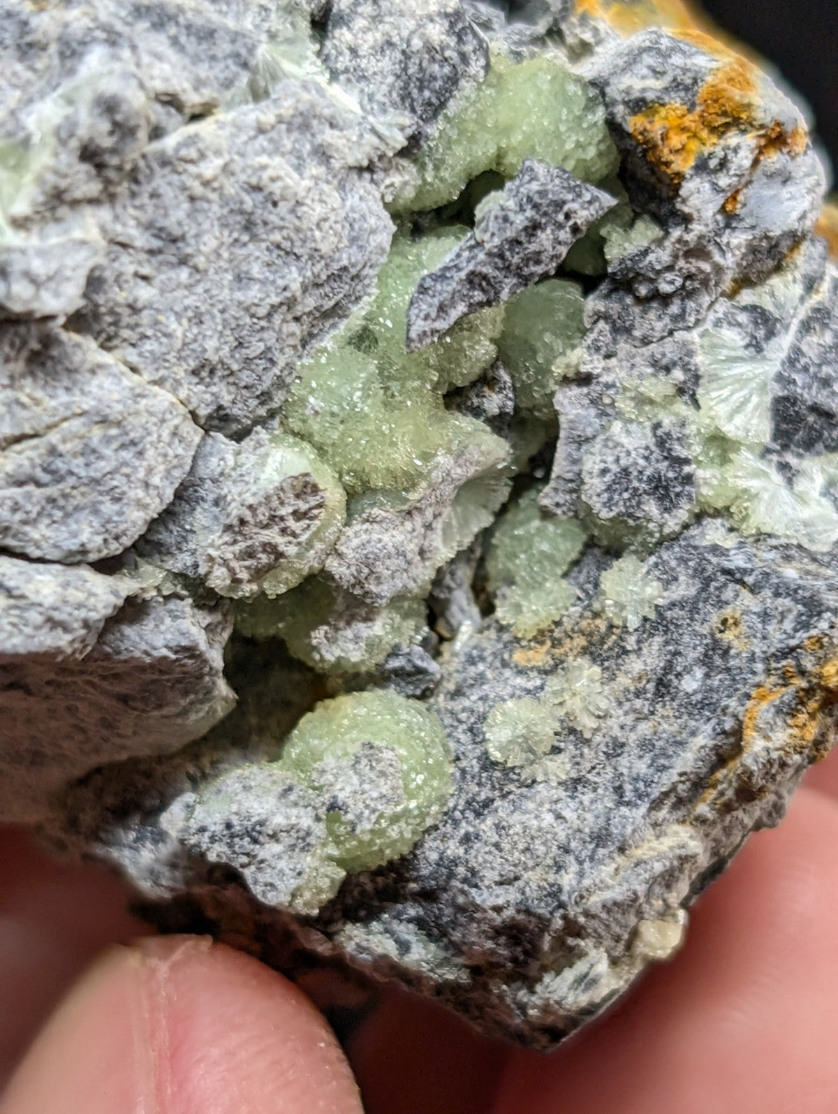 A cluster of translucent green crystals nestled within a gray, rocky matrix.