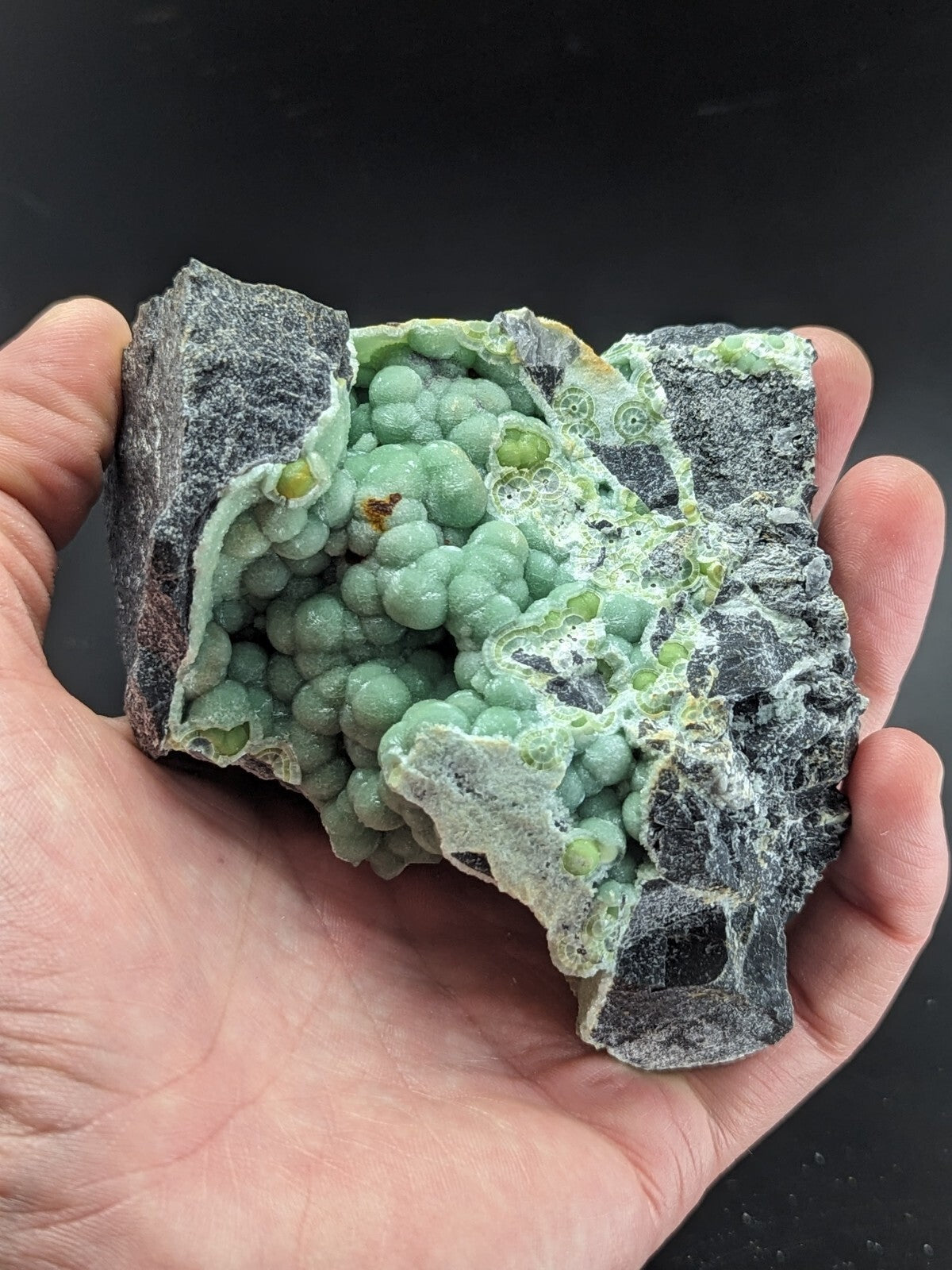 A hand holds a striking green mineral specimen featuring clusters of spherical, bead-like formations nestled within a dark gray rock matrix.