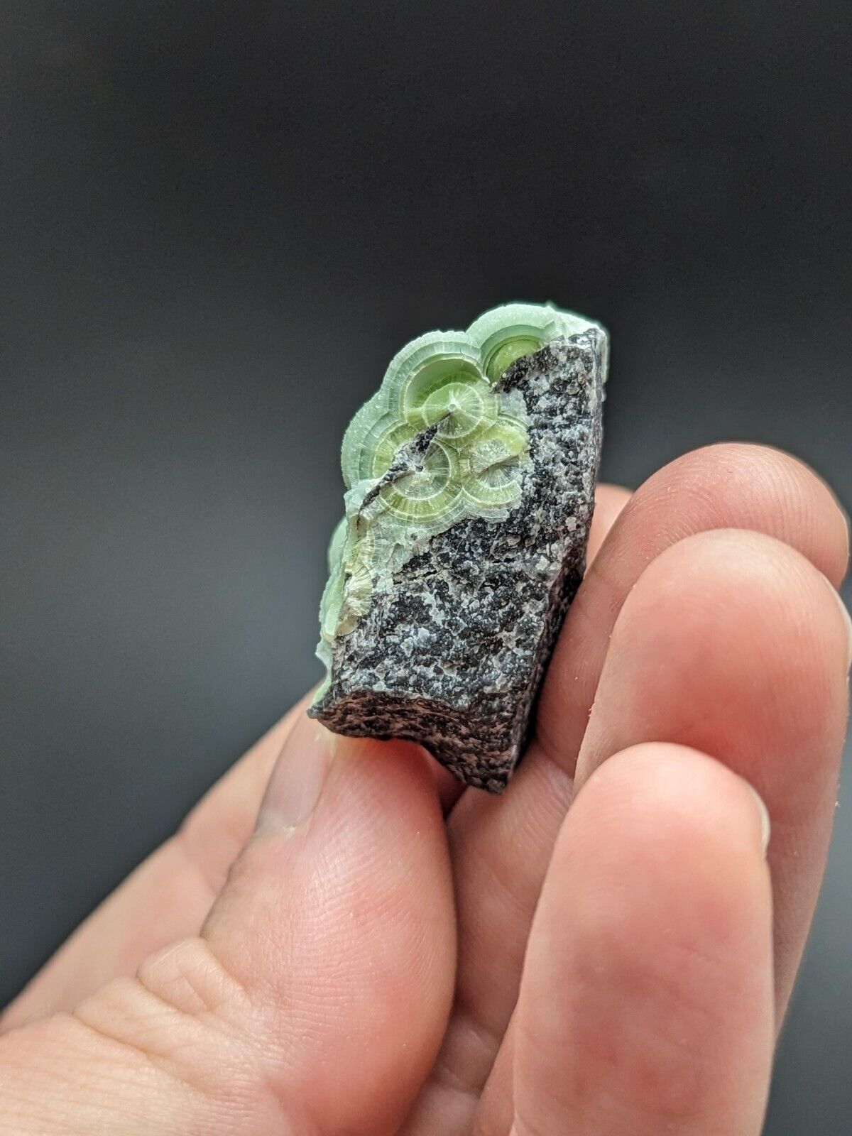 Amazing Wavellite - Fantastic Old Stock - Mauldin Mountain Arkansas ooak - Collectibles:Rocks Fossils &