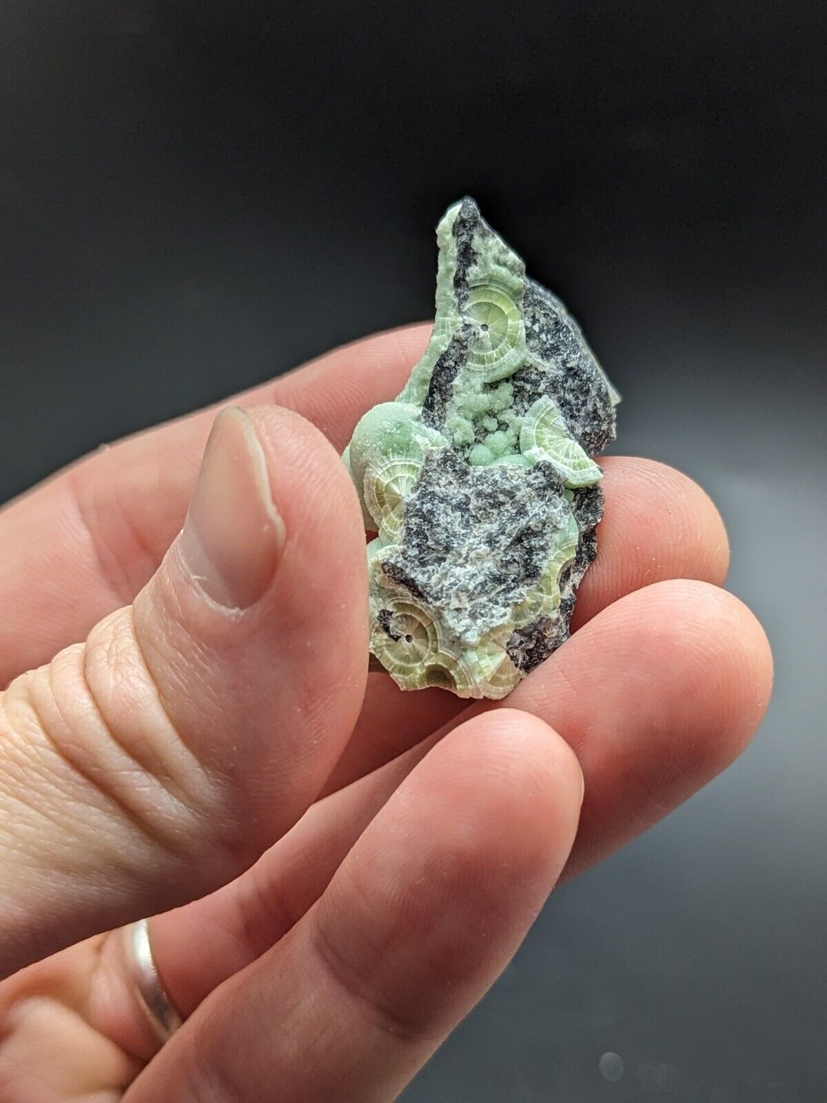 Amazing Wavellite - Fantastic Old Stock - Mauldin Mountain Arkansas ooak - Collectibles:Rocks Fossils &