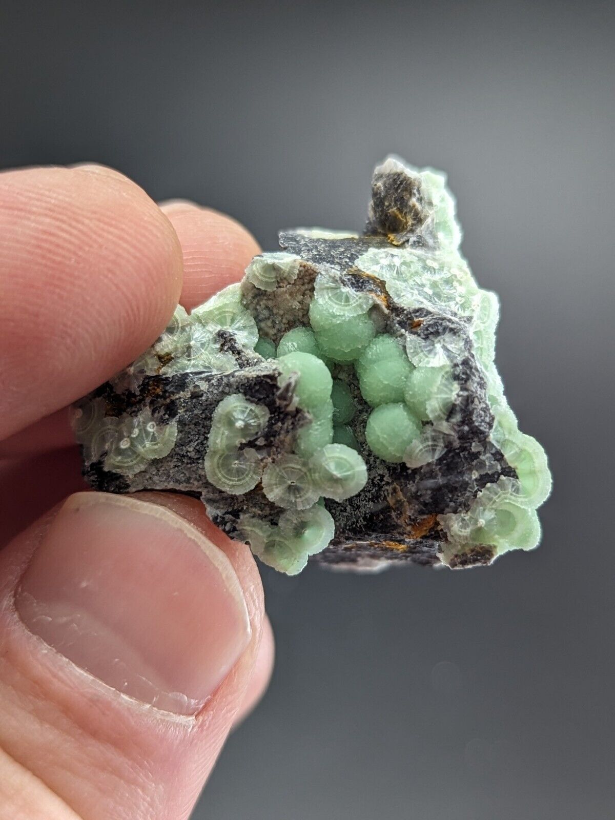 Amazing Wavellite - Fantastic Old Stock - Mauldin Mountain Arkansas ooak - Collectibles:Rocks Fossils &
