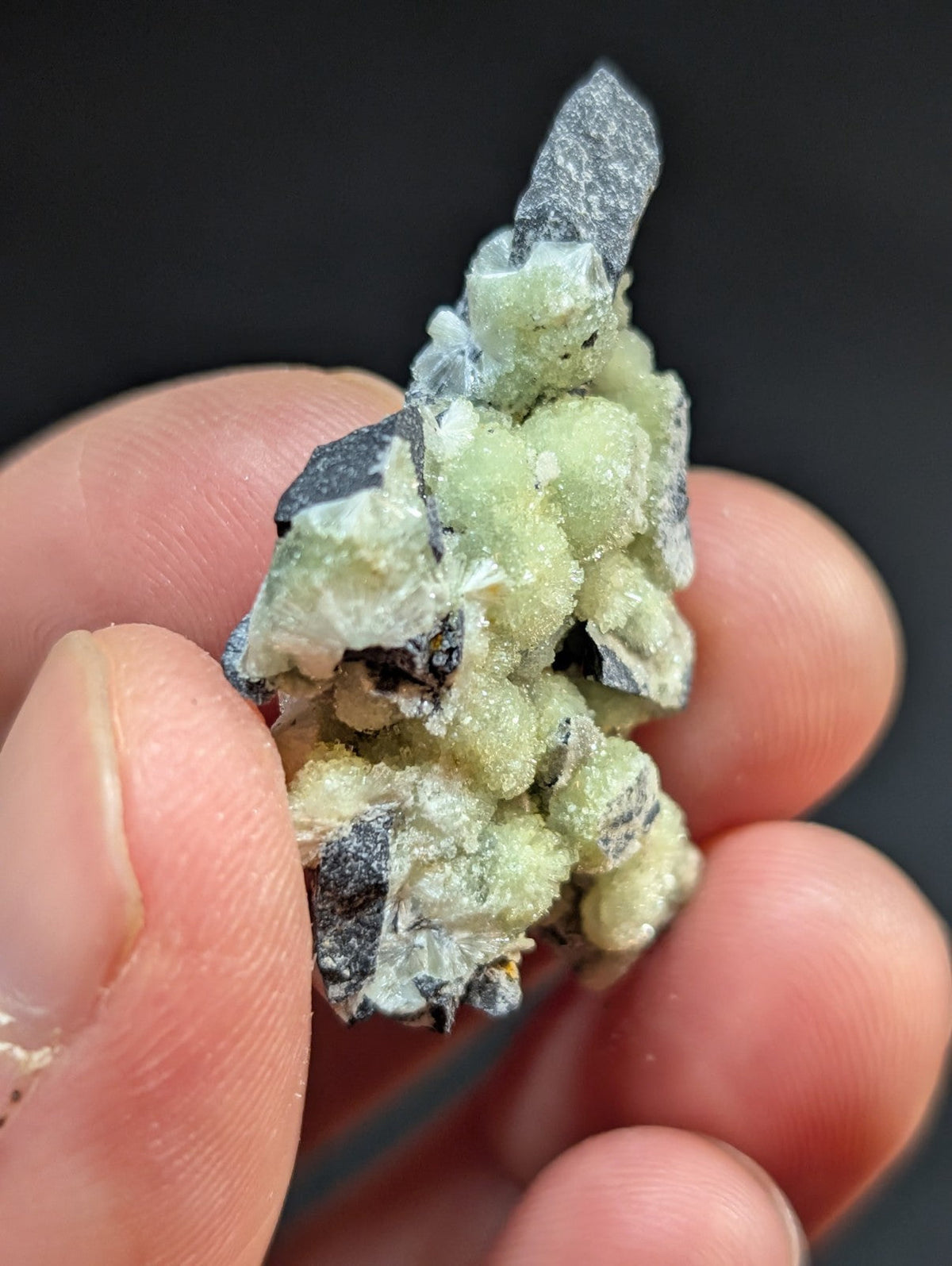 A hand holds a cluster of pale green, crystalline mineral formations with dark gray matrix interspersed.