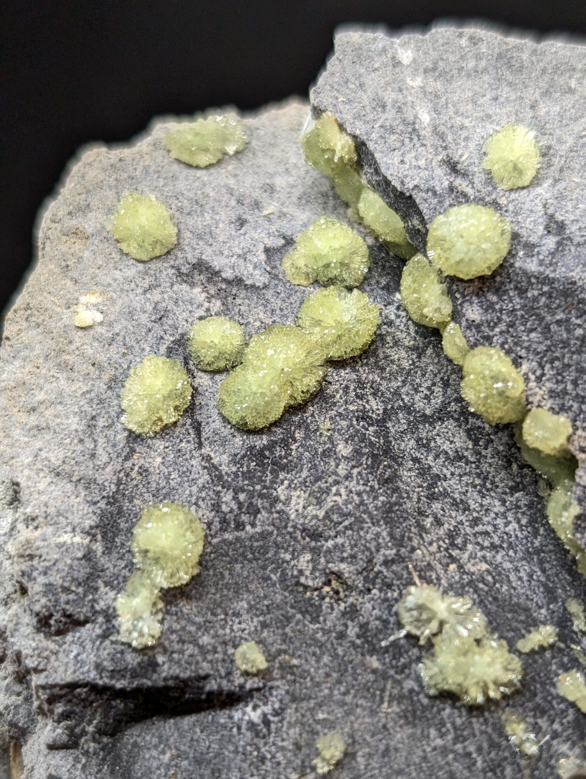 Light green, crystalline mineral formations clustered on a dark gray rock surface.