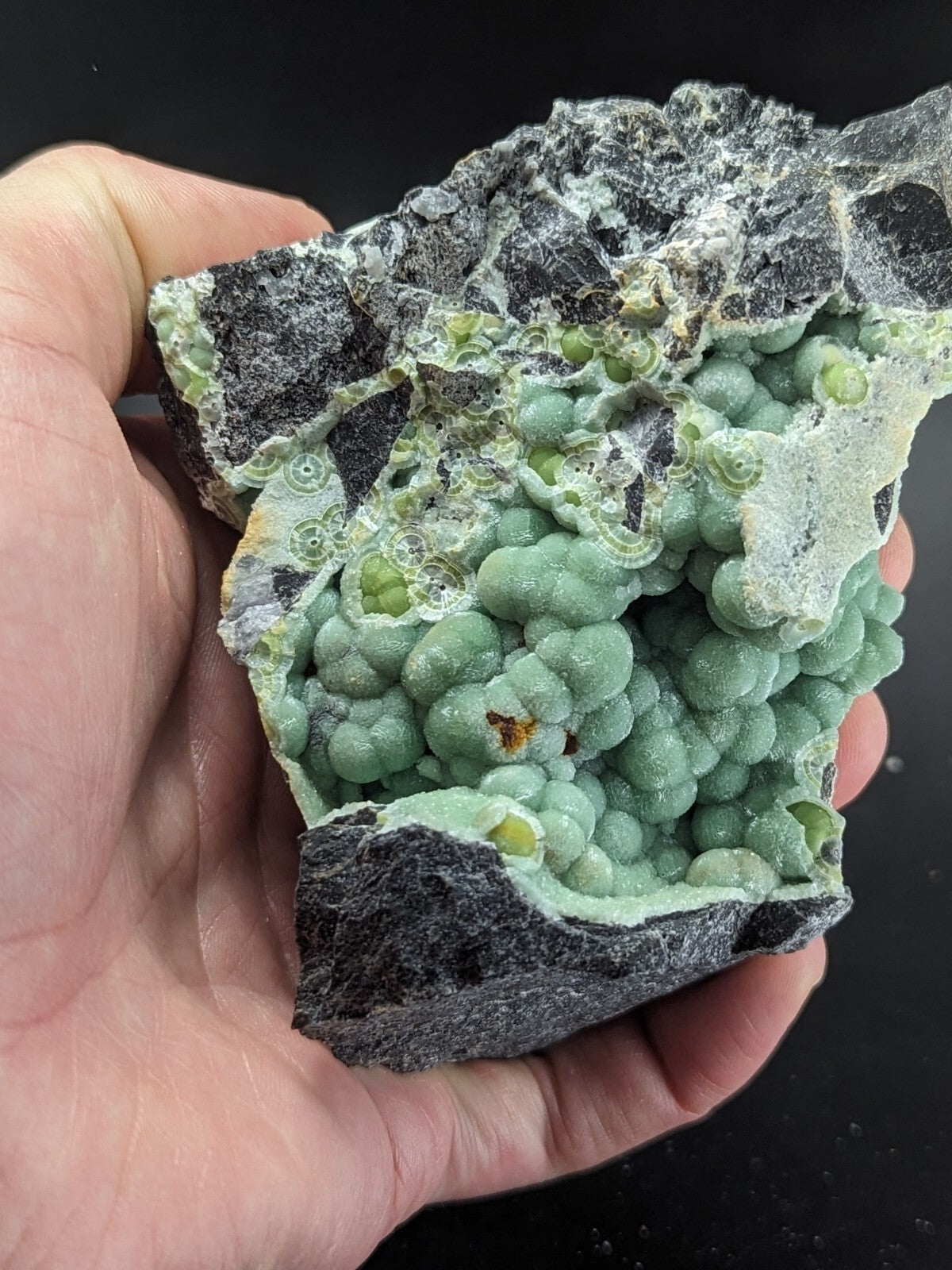 A hand holds a striking green mineral specimen featuring rounded, bead-like formations nestled within dark gray rock.