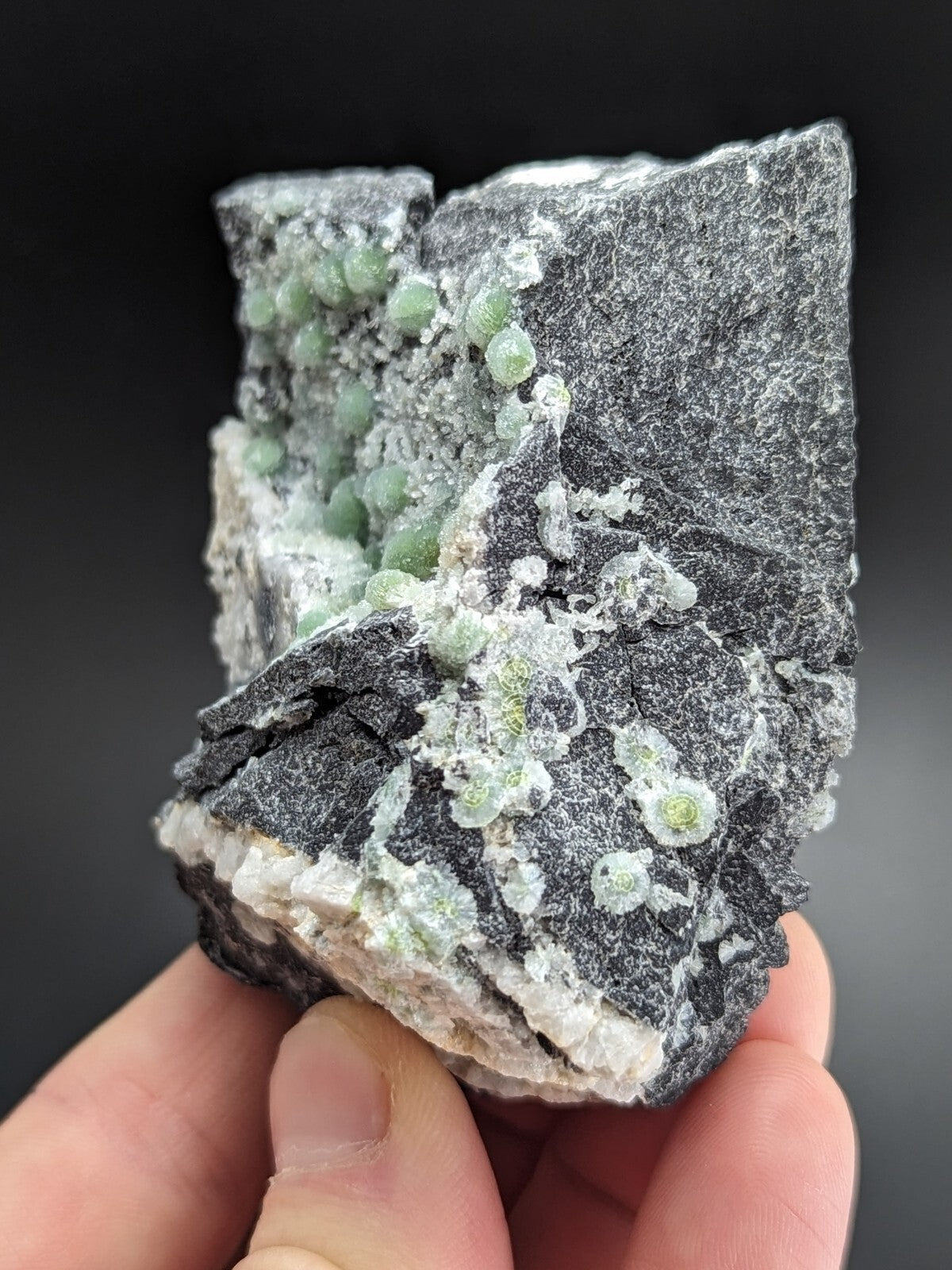 A hand holds a dark gray rock specimen featuring clusters of translucent, light green spherical crystals embedded in its surface.