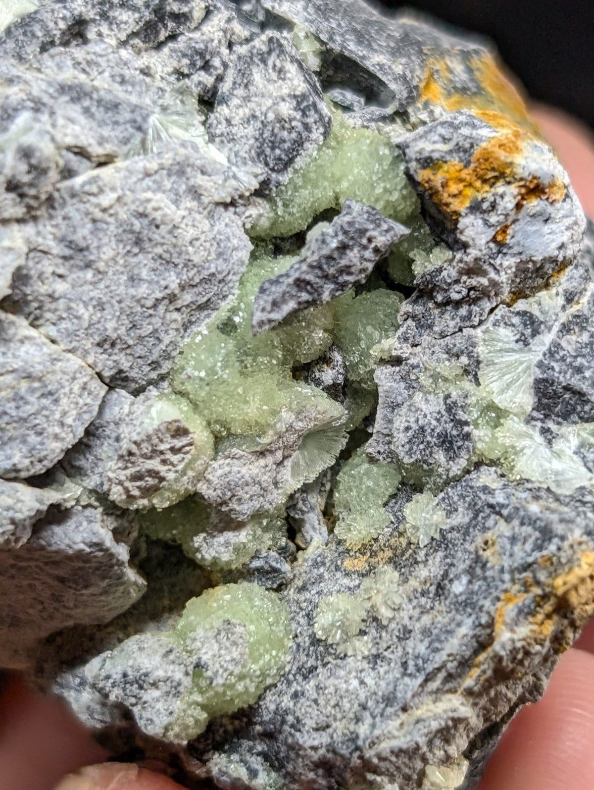 A cluster of translucent green crystals nestled within a rugged gray rock matrix, accented with patches of orange mineral.