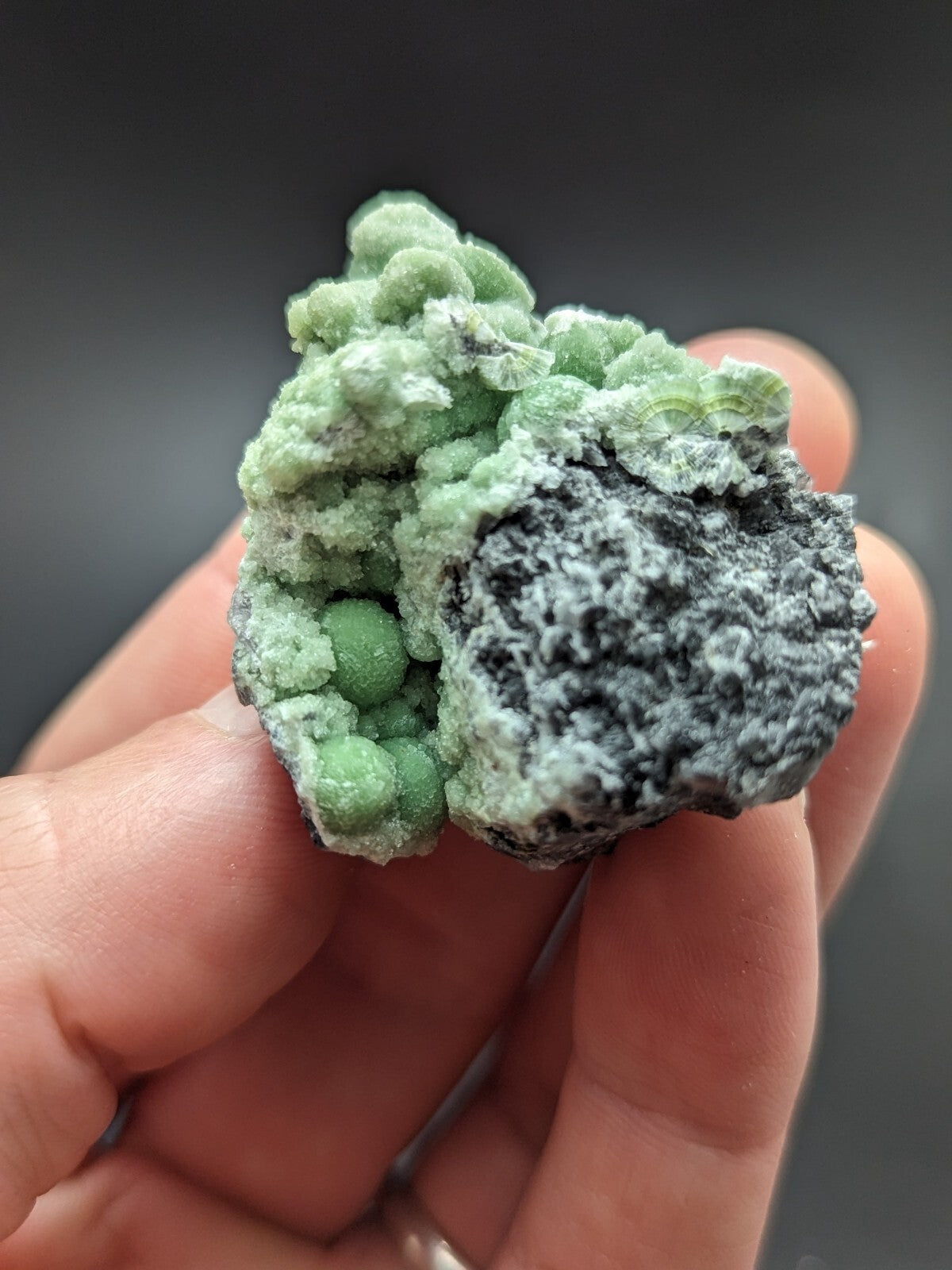 A hand holds a natural mineral specimen featuring clusters of vibrant green, spherical crystals growing from a dark gray, textured matrix.