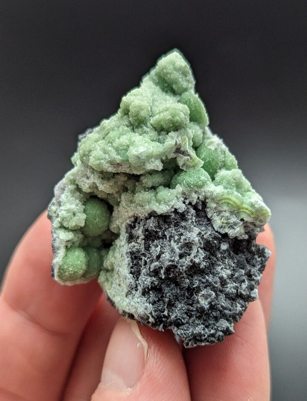 A hand holds a striking green and black mineral specimen featuring rounded, bumpy formations atop a rougher base.