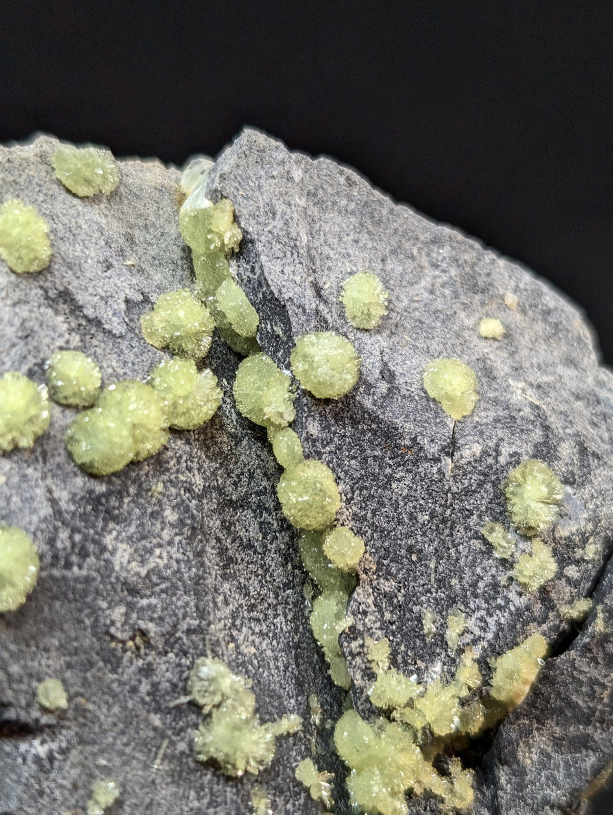 Green, crystalline mineral formations cluster across a textured gray rock surface.