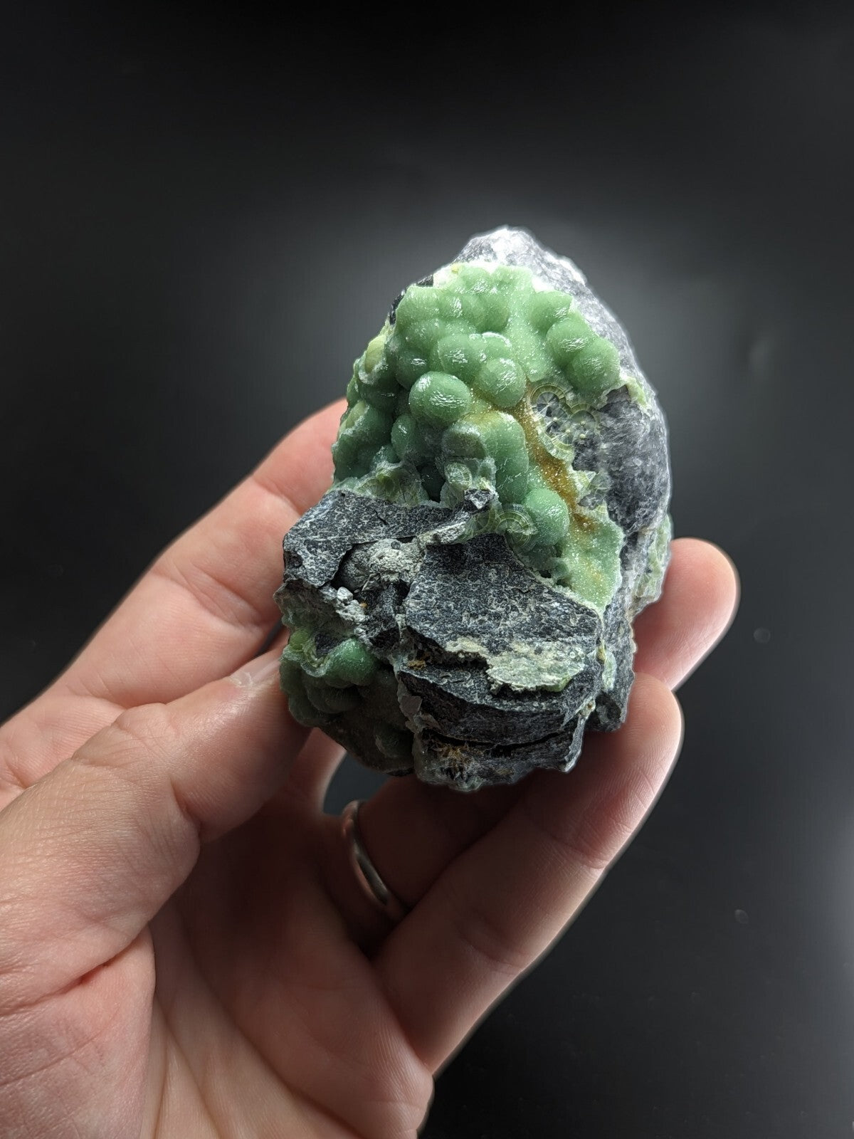 A hand holds a striking green mineral specimen featuring clusters of rounded, translucent crystals growing from a dark gray rock matrix.