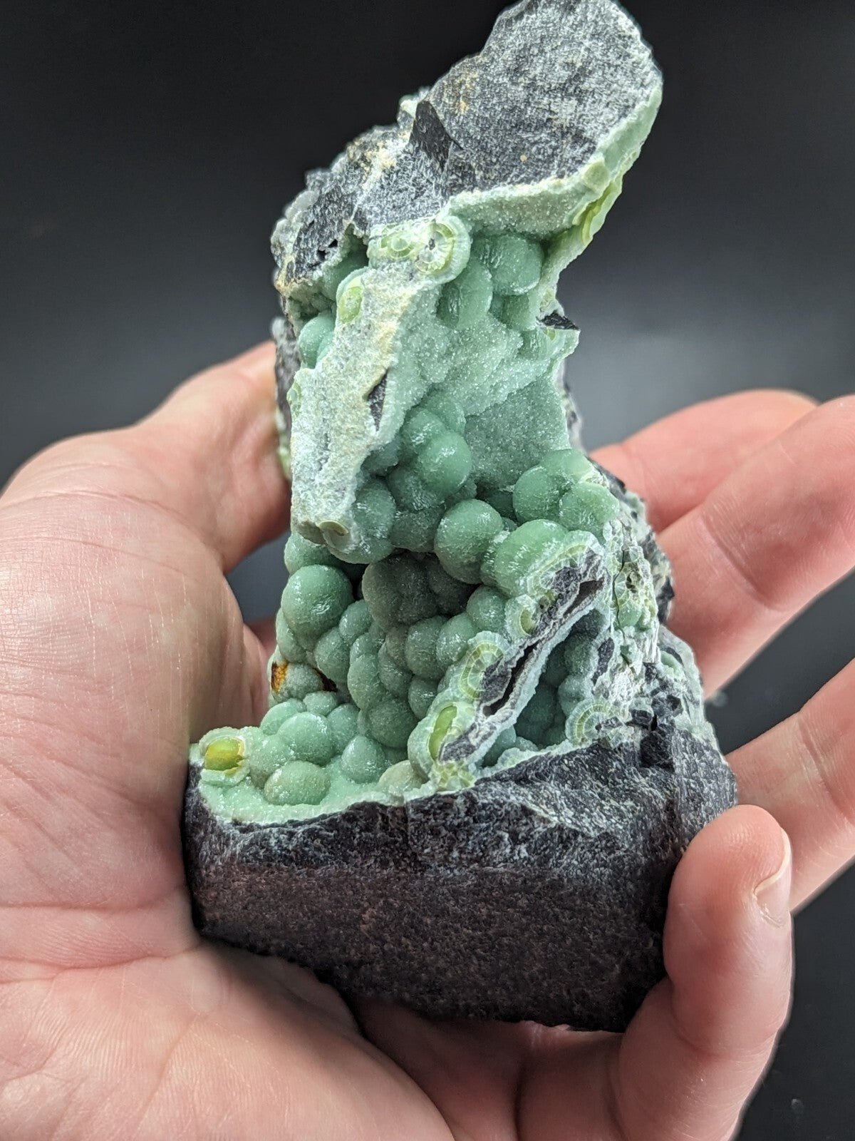 A hand holds a striking green mineral specimen featuring clusters of rounded, bead-like formations emerging from a dark gray rock matrix.