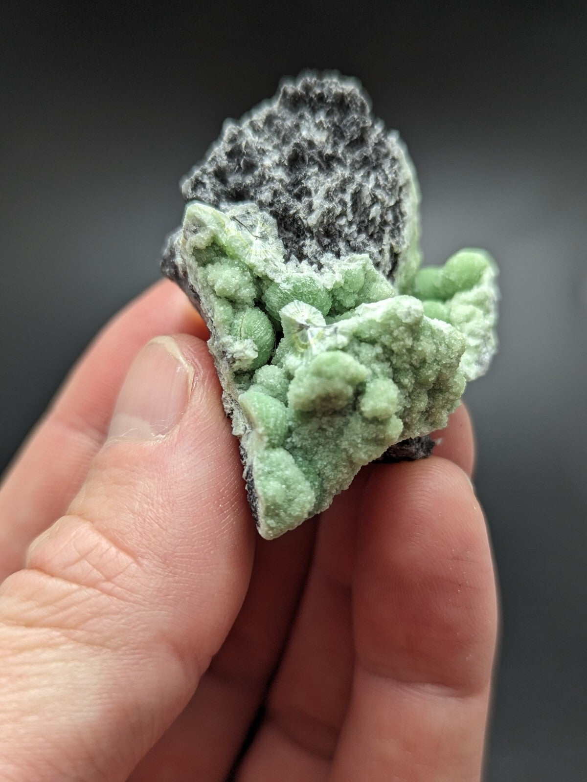A hand holds a striking green mineral specimen with intricate, clustered crystals growing from a dark gray matrix.