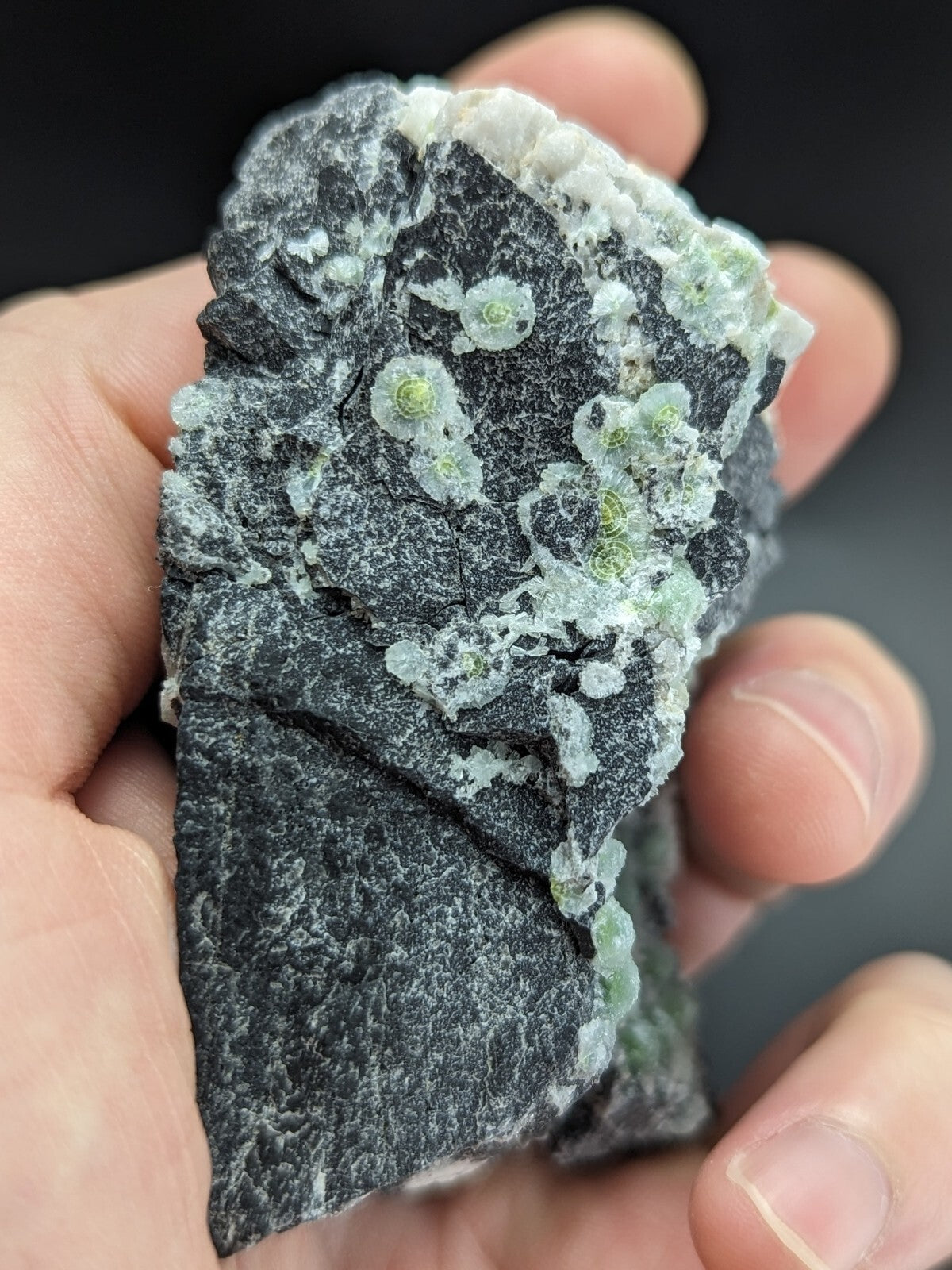 A hand holds a dark gray rock specimen featuring clusters of translucent, light green crystalline formations.