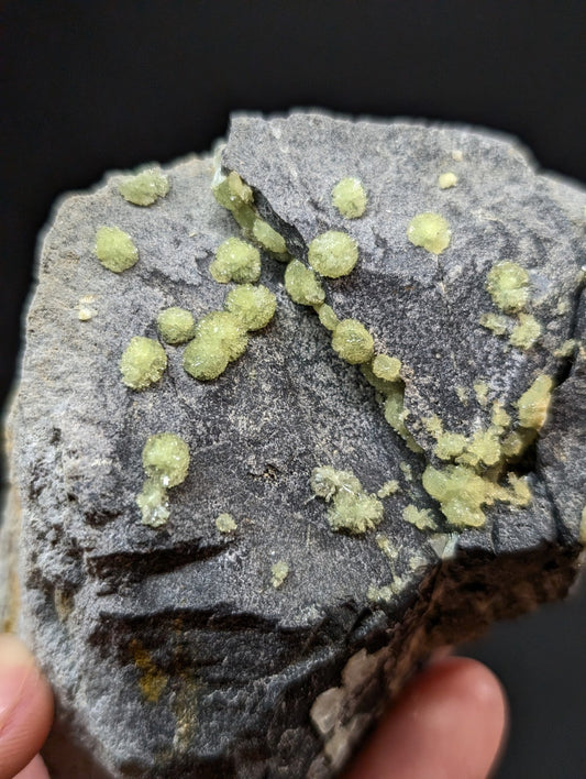 A dark gray rock specimen featuring clusters of bright, translucent green crystals.