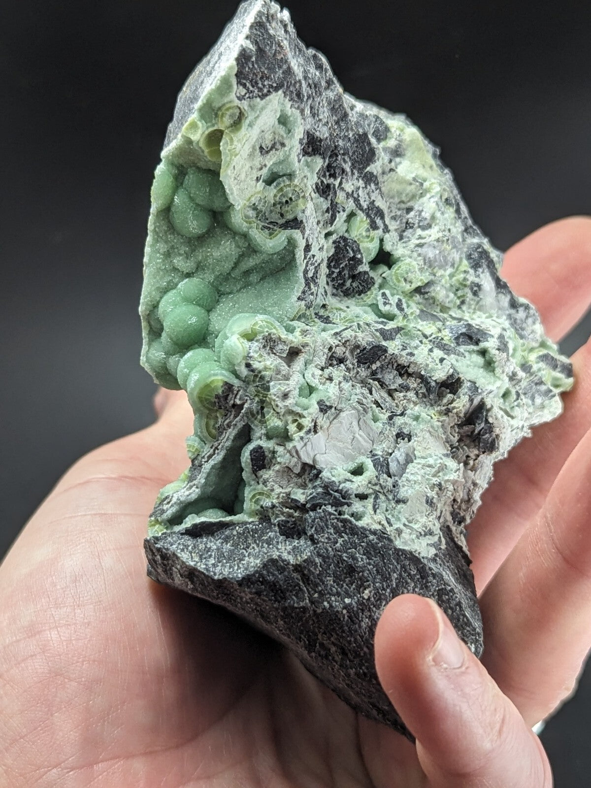 A hand holds a striking green and black mineral specimen featuring intricate, bubble-like formations.