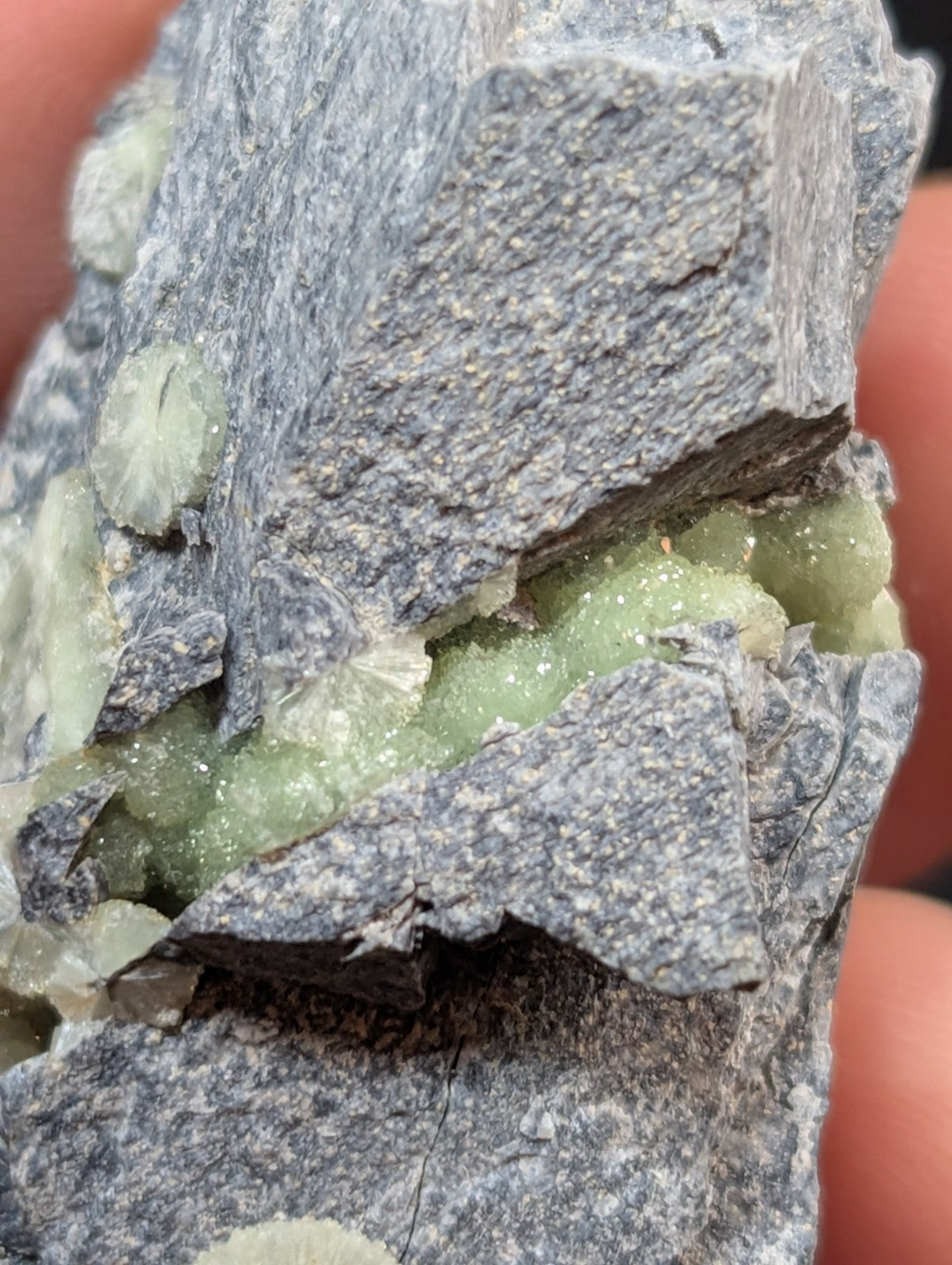 A gray, textured rock specimen featuring clusters of translucent green crystals embedded within its surface.