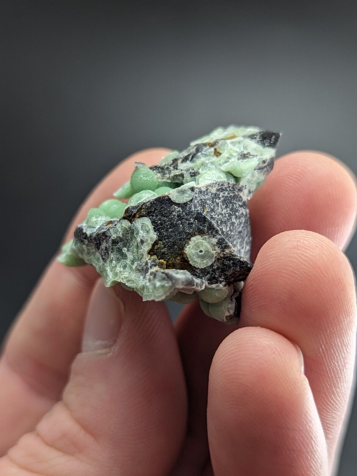 Amazing Wavellite - Fantastic Old Stock - Mauldin Mountain Arkansas ooak - Collectibles:Rocks Fossils &
