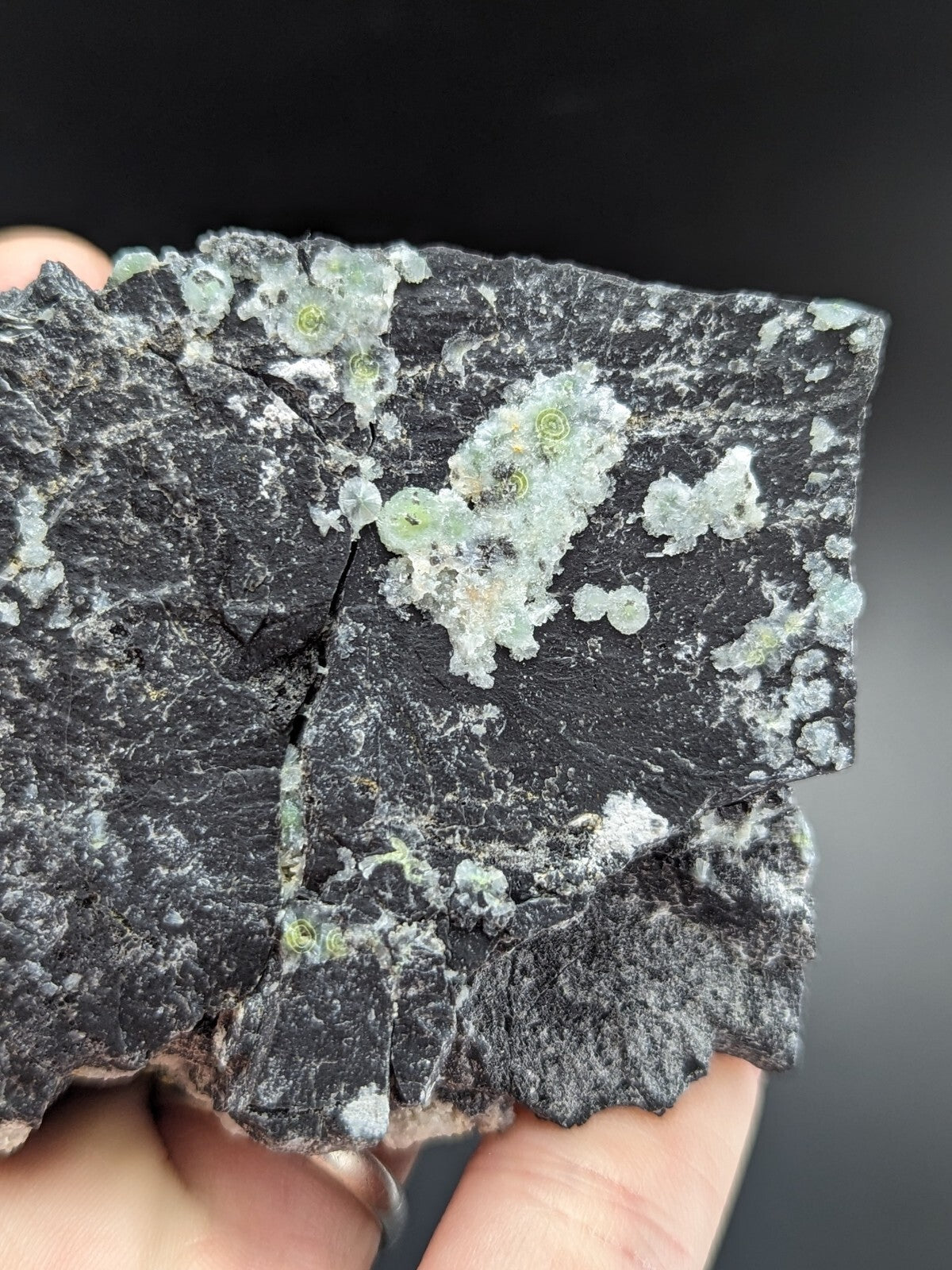 A dark, rough-textured rock specimen featuring clusters of translucent green crystals embedded in its surface.