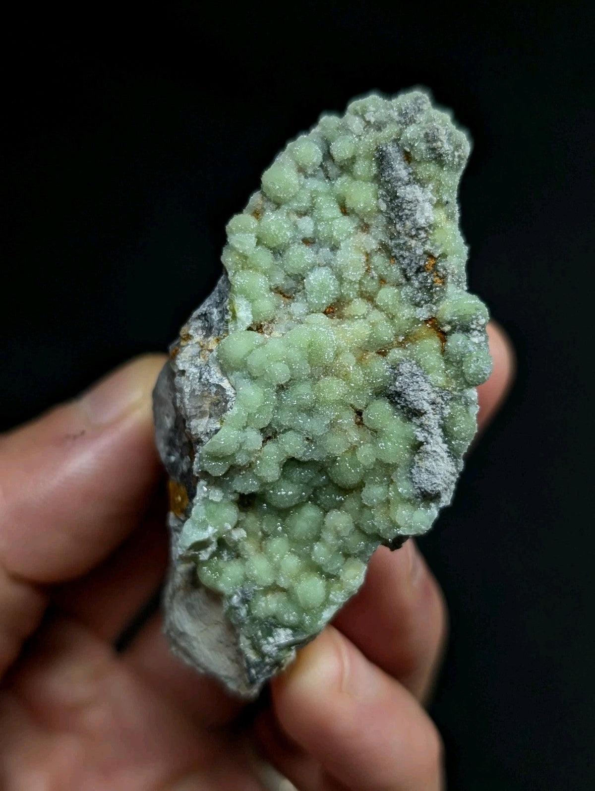 A hand holds a specimen of green, bead-like mineral crystals growing on a dark gray rock matrix.