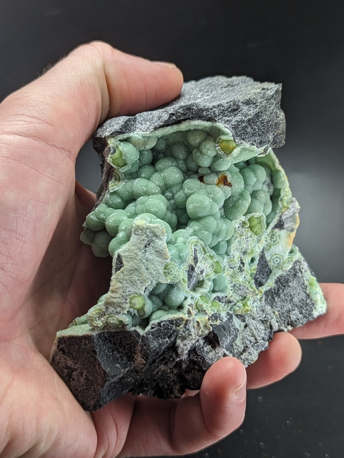 A hand holds a striking green mineral specimen with rounded, bead-like formations nestled within a dark gray rock matrix.