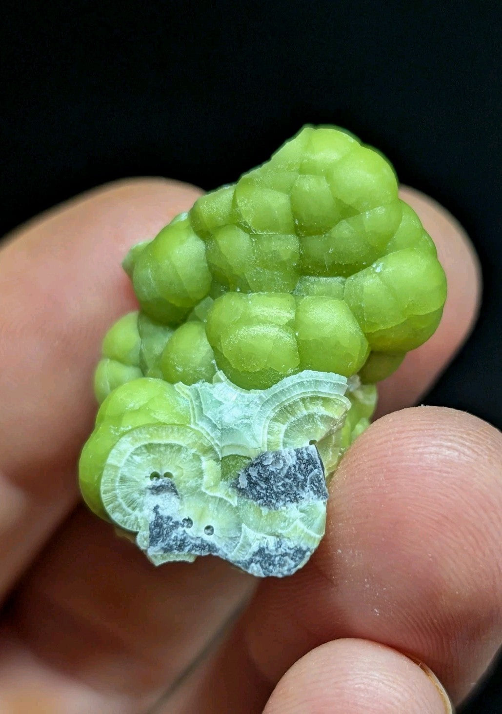 A vibrant green, bumpy mineral specimen with a translucent, layered cross-section revealing intricate internal patterns.