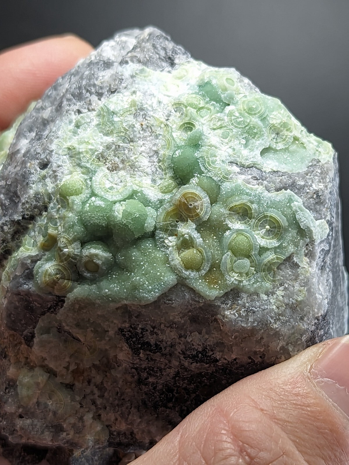 A green, translucent mineral specimen with circular, bubble-like formations embedded in a grayish rock matrix.