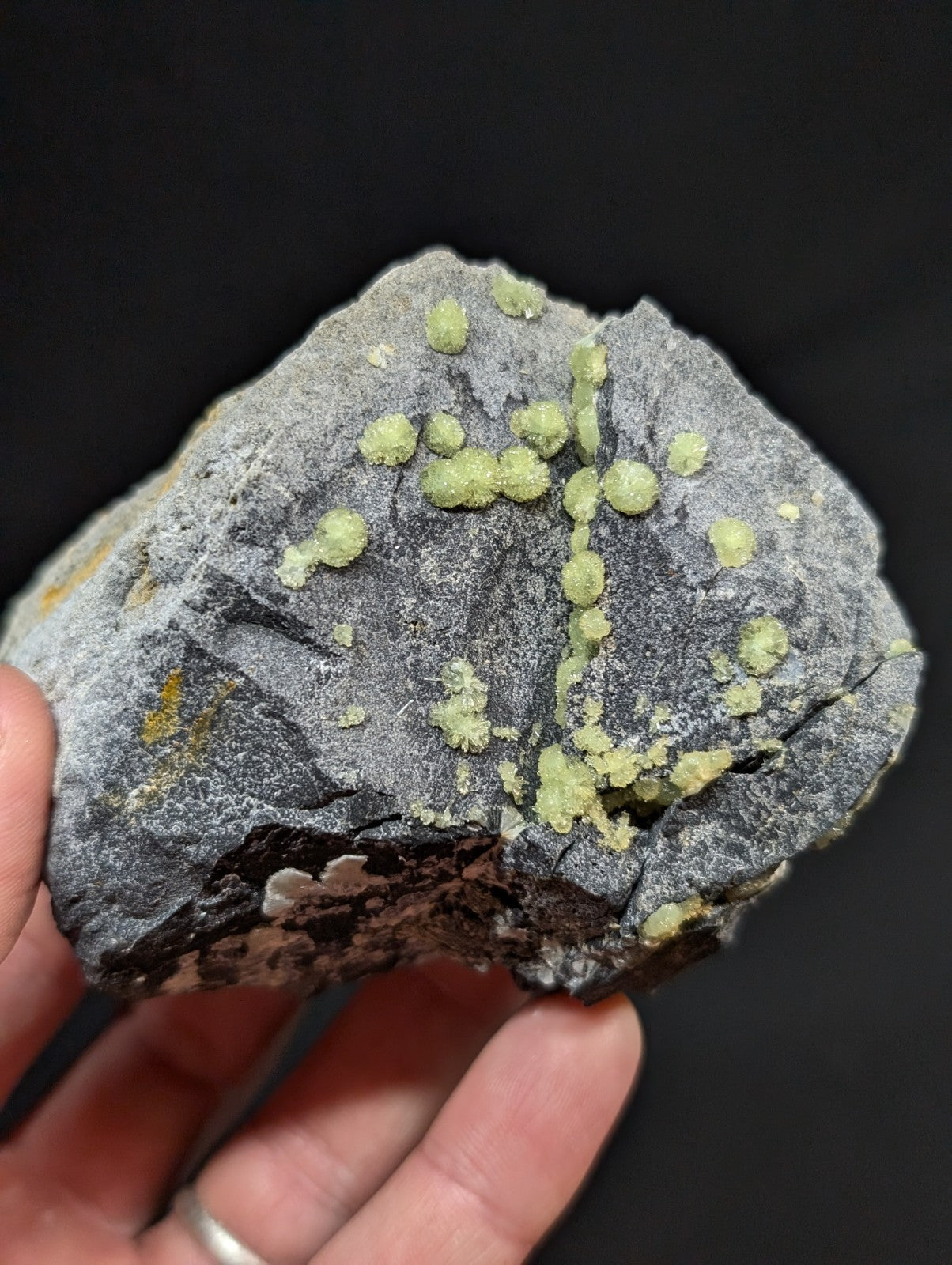 A hand holds a dark gray rock specimen featuring clusters of bright green, spherical mineral formations.