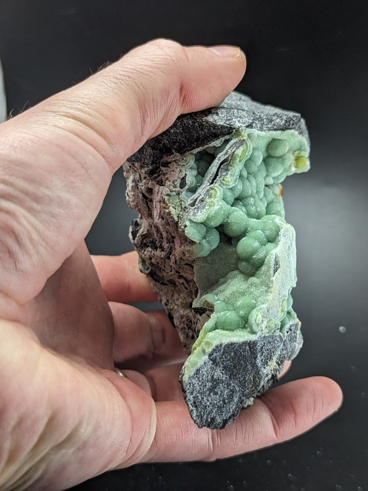 A hand holds a striking green mineral specimen featuring spherical, bead-like formations nestled within dark, rugged rock.