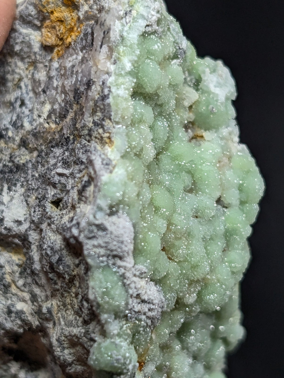 A striking light green, crystalline mineral formation with a textured, bumpy surface growing from a darker gray rock matrix.