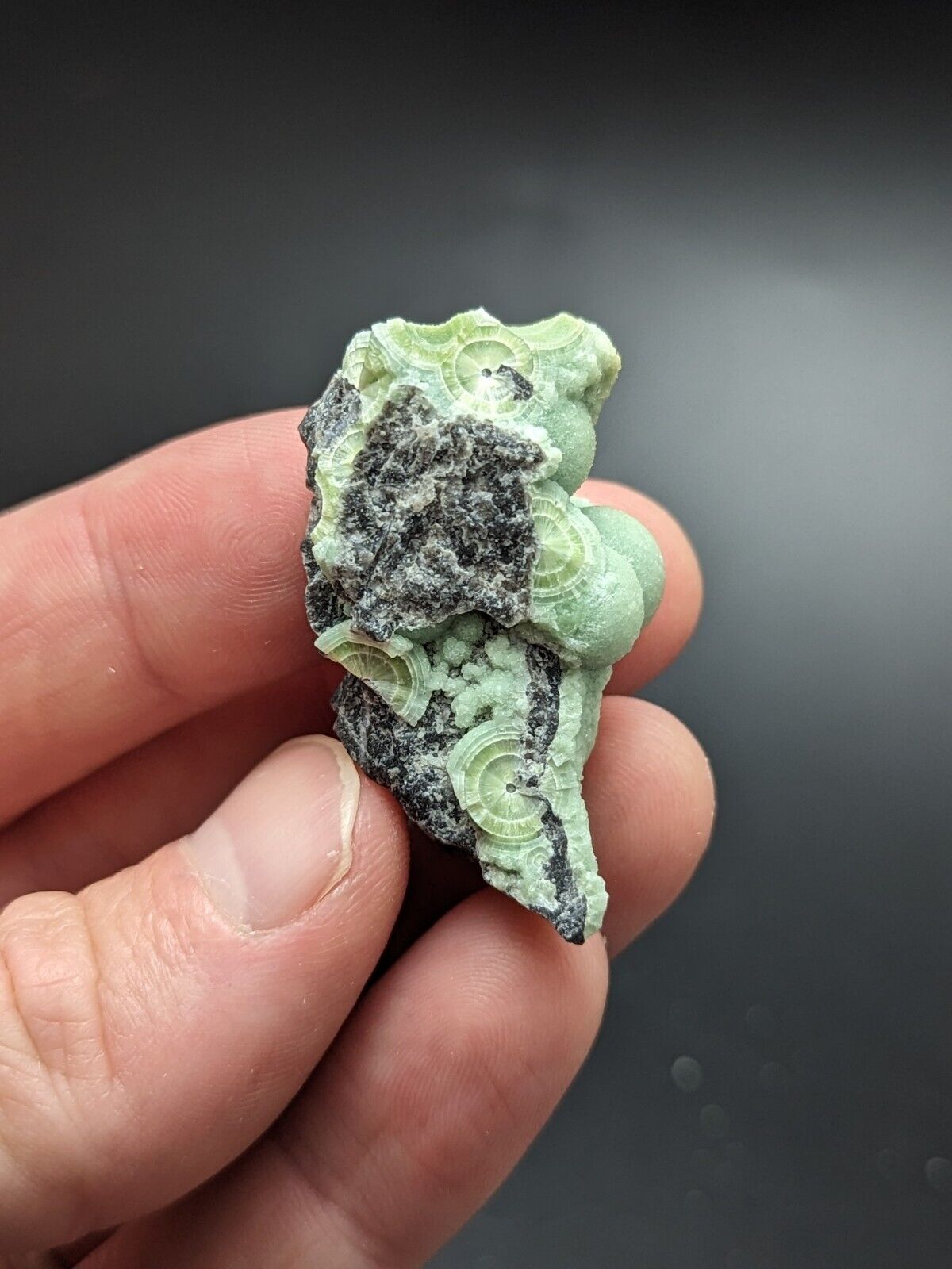 Amazing Wavellite - Fantastic Old Stock - Mauldin Mountain Arkansas ooak - Collectibles:Rocks Fossils &