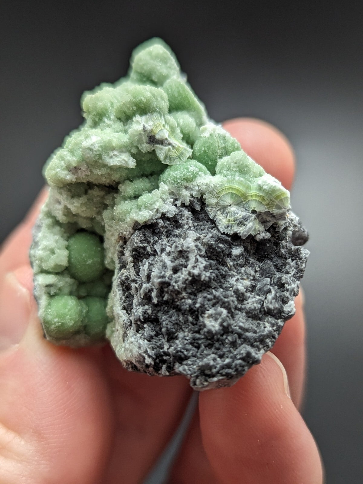 A hand holds a striking green and black mineral specimen featuring intricate, bumpy crystalline formations with a textured surface.