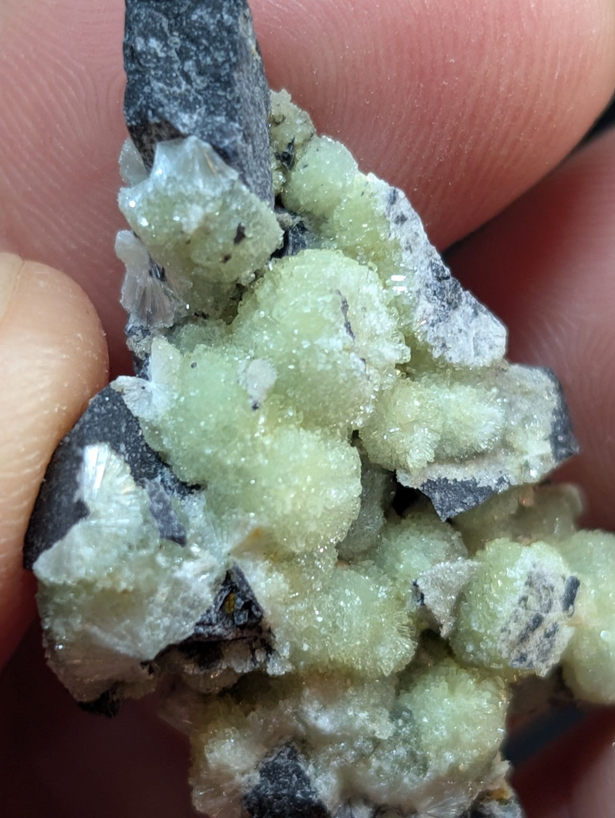 A cluster of pale green, crystalline minerals growing from a dark gray rock matrix.