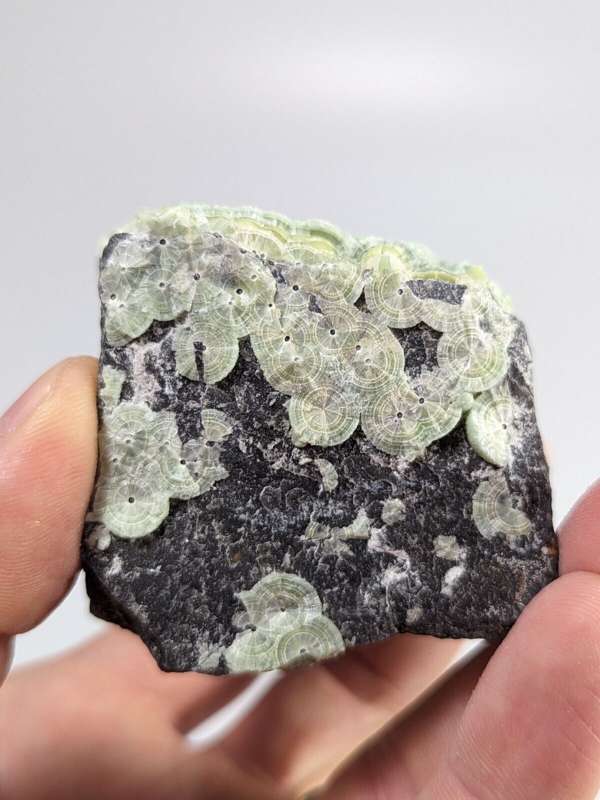 Amazing Wavellite - Fantastic Old Stock - Mauldin Mountain Arkansas ooak - Collectibles:Rocks Fossils &