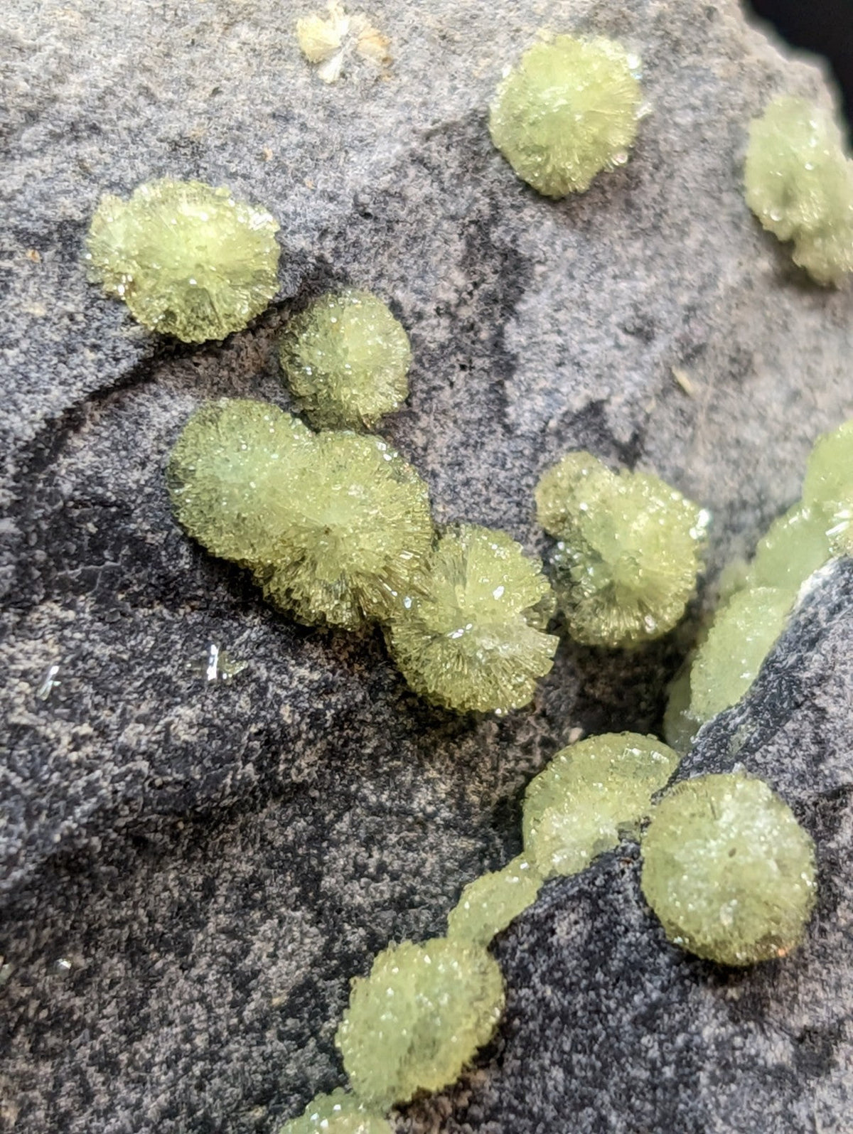 Vibrant green, fuzzy crystalline formations clustered on a dark gray rock surface.
