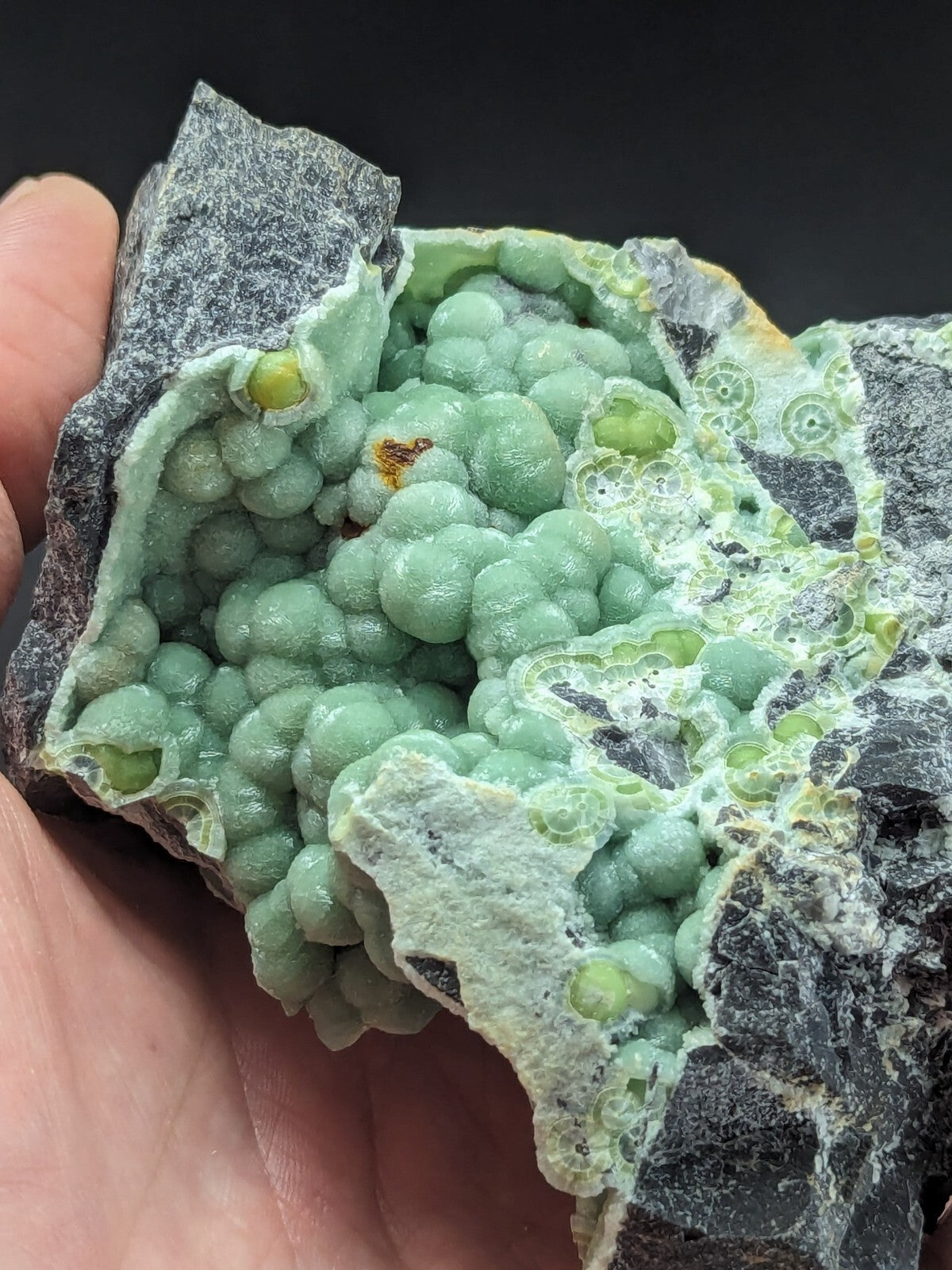 A hand holds a striking green mineral specimen with spherical, bead-like formations nestled within a dark gray rock matrix.