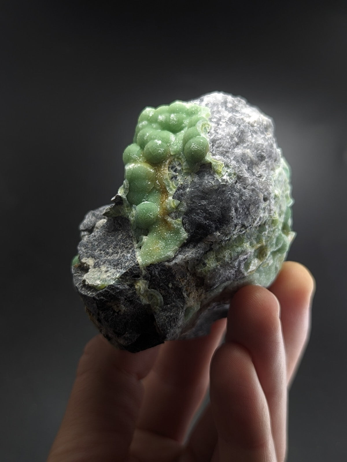 A hand holds a rough, dark gray rock with vibrant green, bead-like mineral formations clustered on its surface.