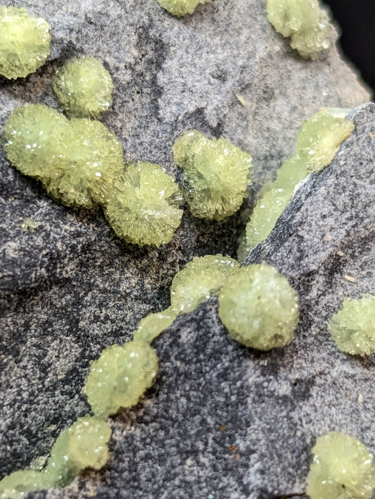Vibrant green, crystalline mineral formations with a fuzzy texture grow in clusters on a dark gray rock surface.