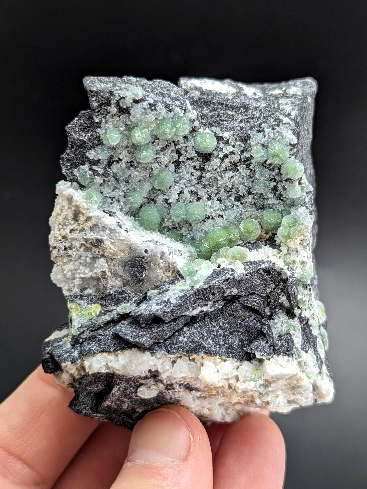 A hand holds a rectangular mineral specimen featuring clusters of translucent green spherical crystals growing on a dark gray, textured rock matrix.