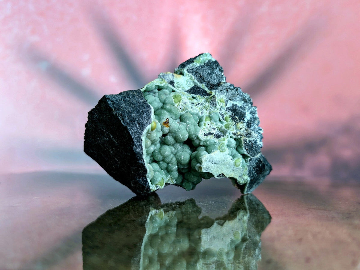 A striking green and black mineral specimen featuring a cluster of small, rounded crystals nestled within a dark rock matrix.