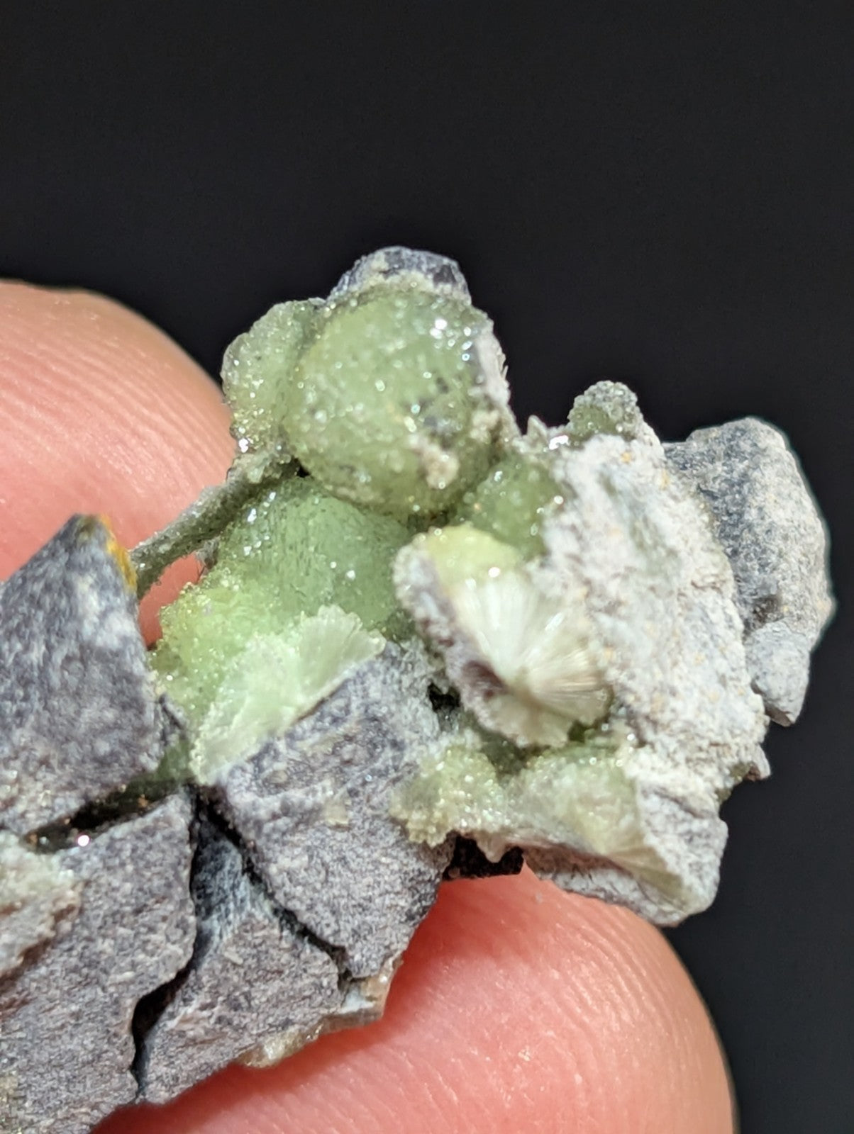 A translucent green mineral specimen with crystalline formations nestled within a gray, rocky matrix.