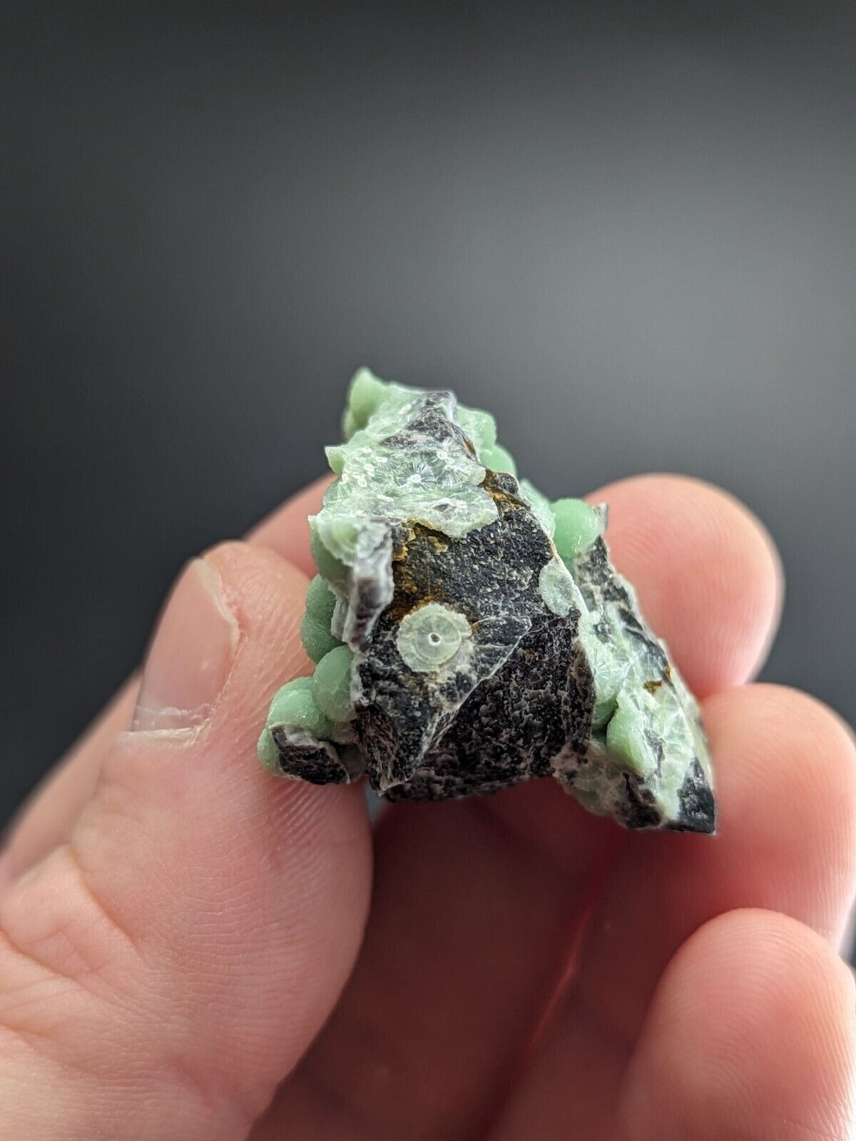 Amazing Wavellite - Fantastic Old Stock - Mauldin Mountain Arkansas ooak - Collectibles:Rocks Fossils &