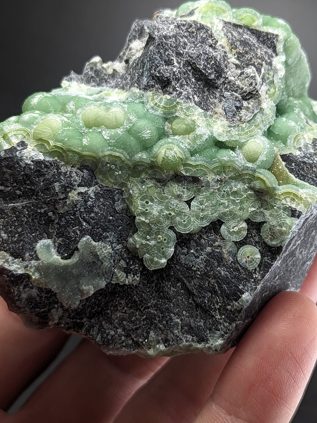 A striking green and black mineral specimen featuring translucent, bubble-like formations with intricate circular patterns.