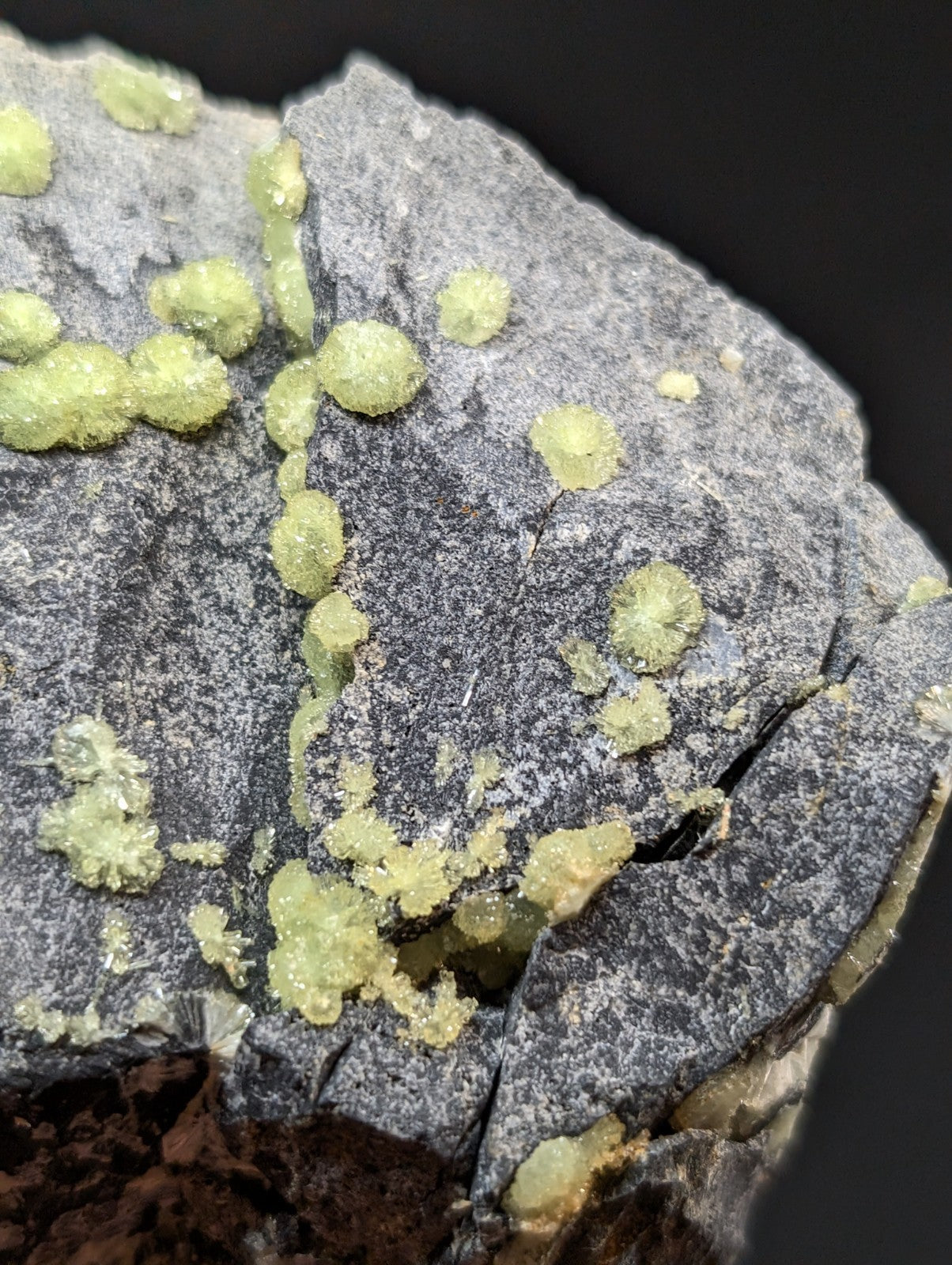 A gray rock specimen featuring clusters of bright yellow-green crystalline formations.