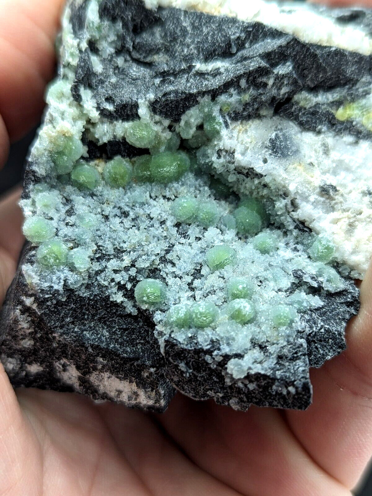 A hand holds a dark, rugged rock specimen featuring clusters of translucent green spherical crystals embedded in a matrix of white and gray mineral formations.